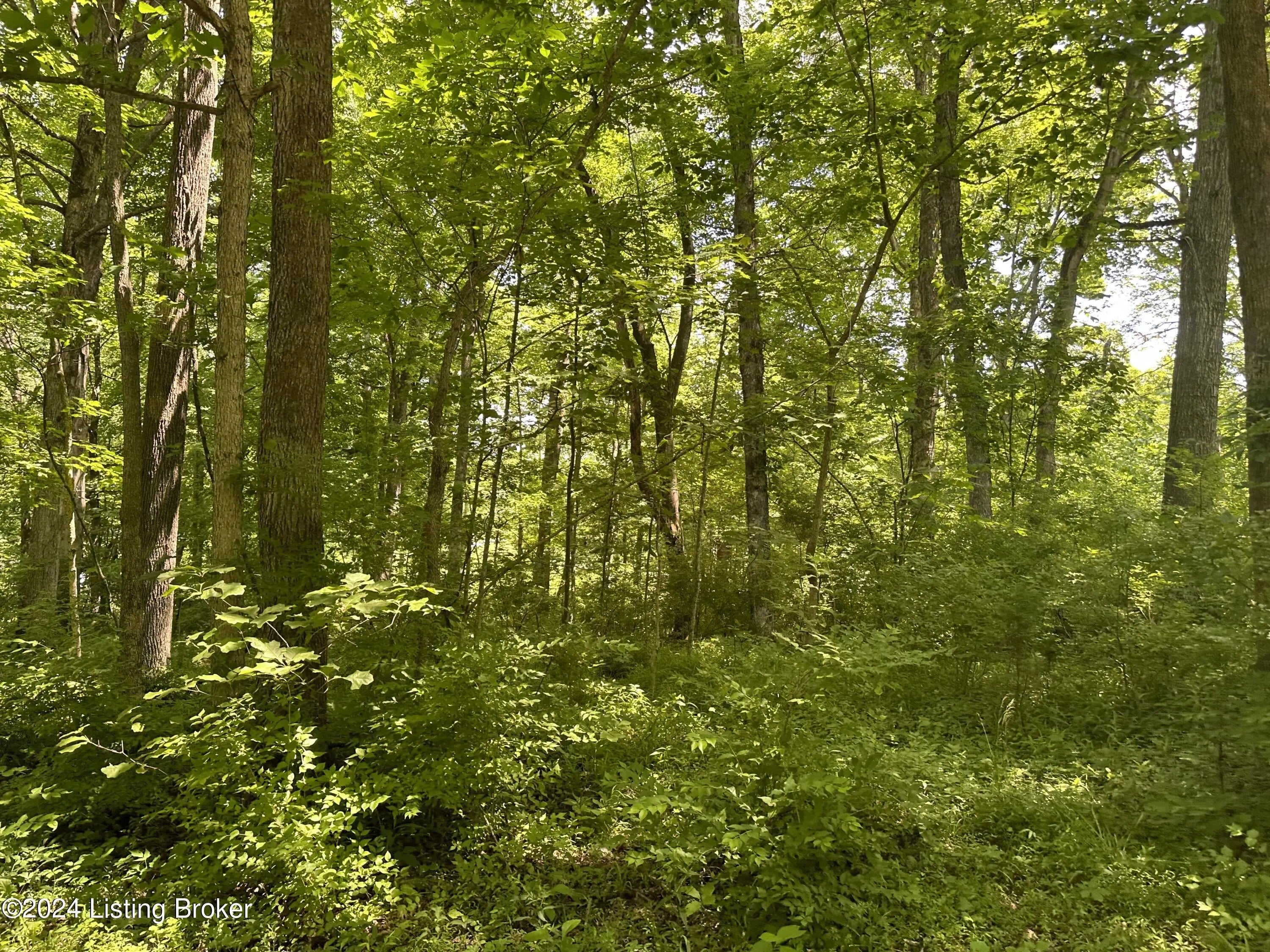 Photo of Listing #1704816