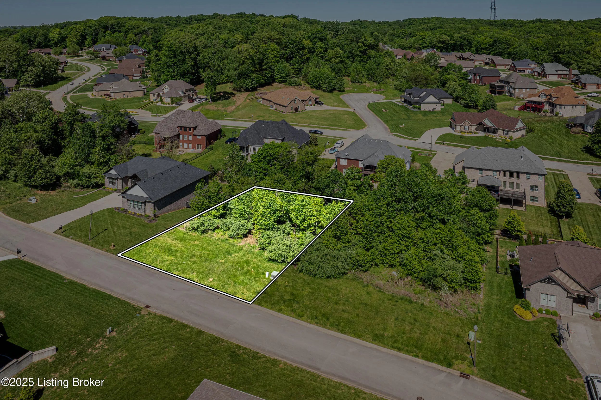 Photo of Listing #1704936