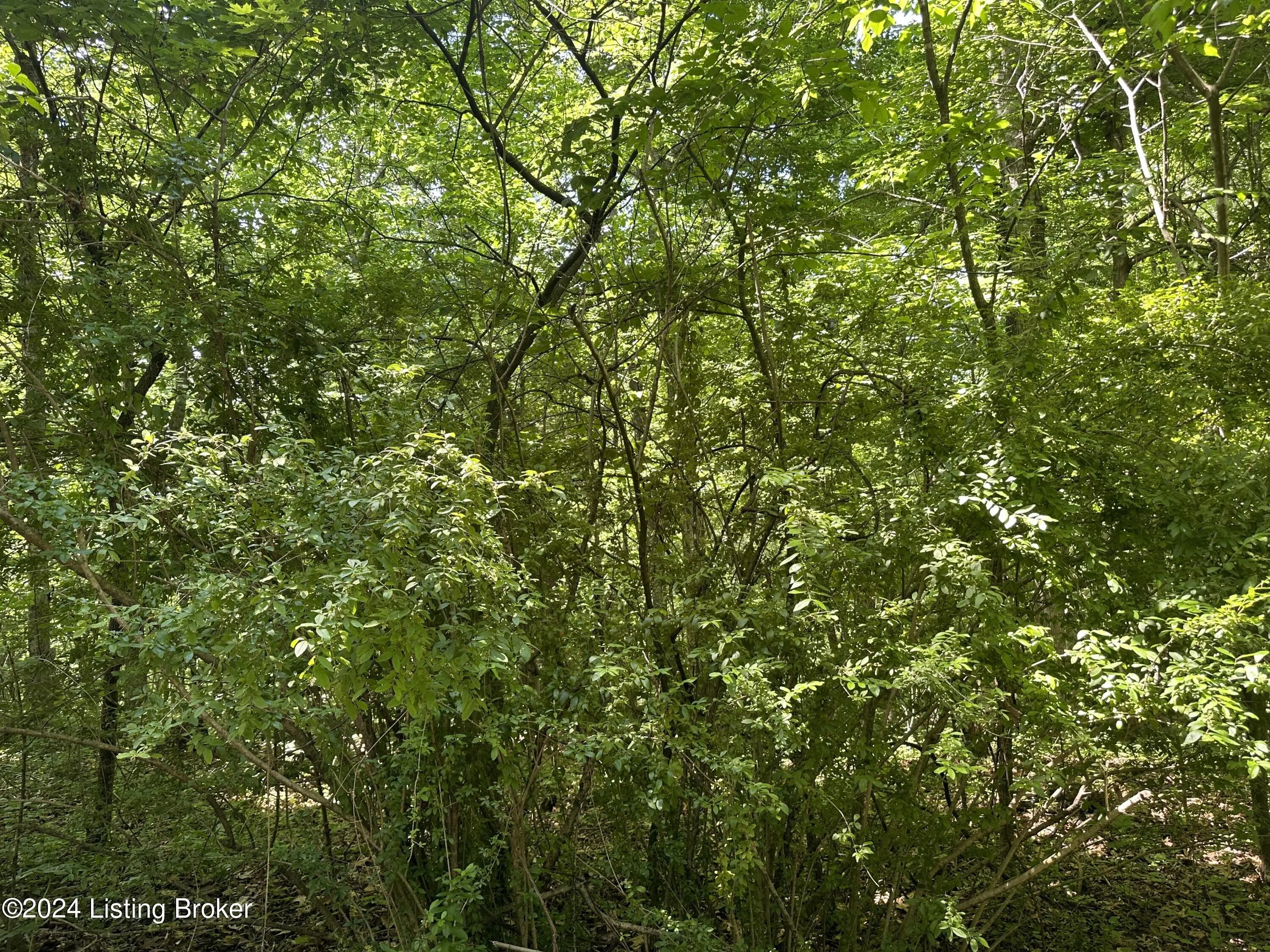 Photo of Listing #1704820