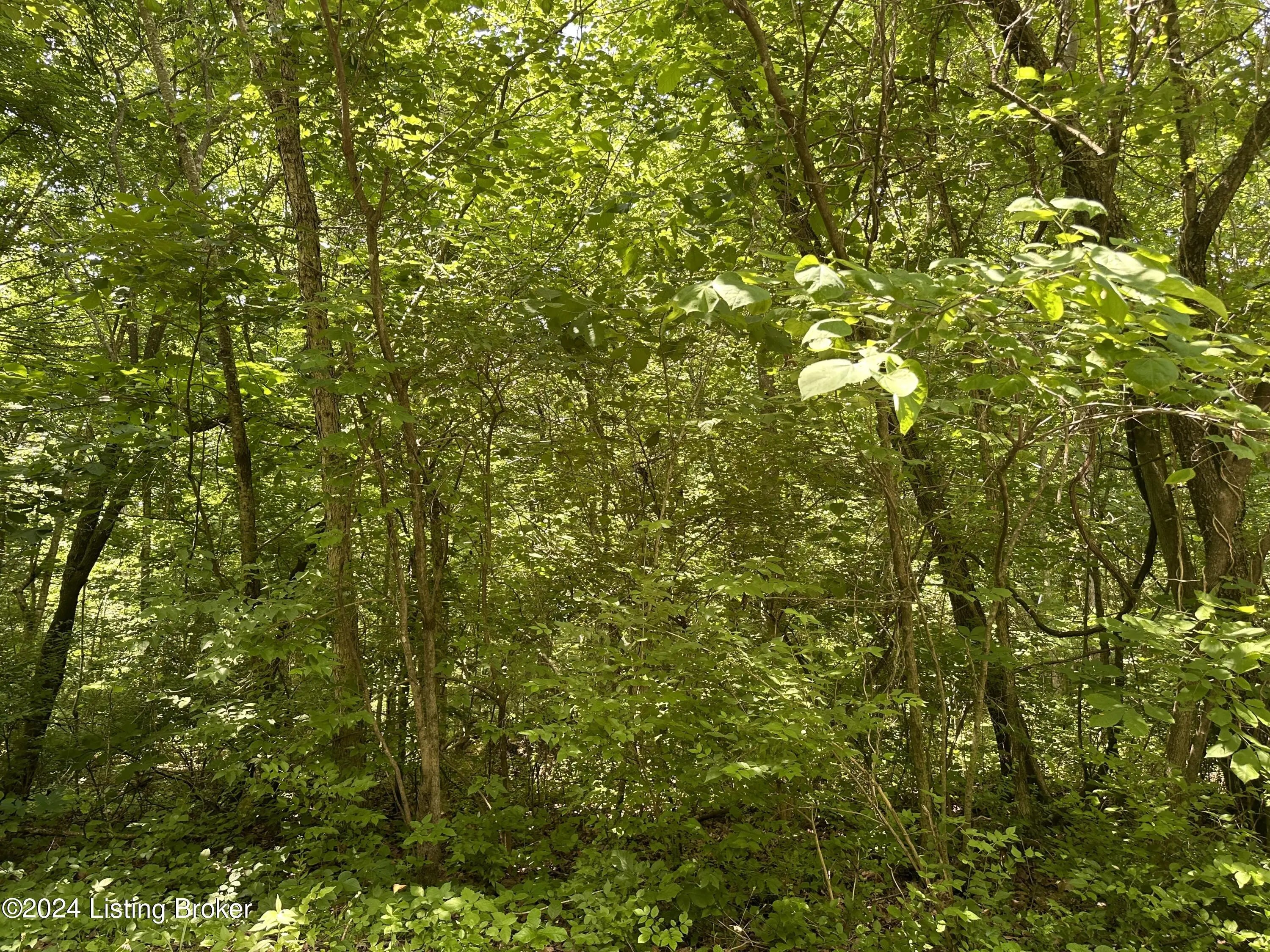 Photo of Listing #1704821