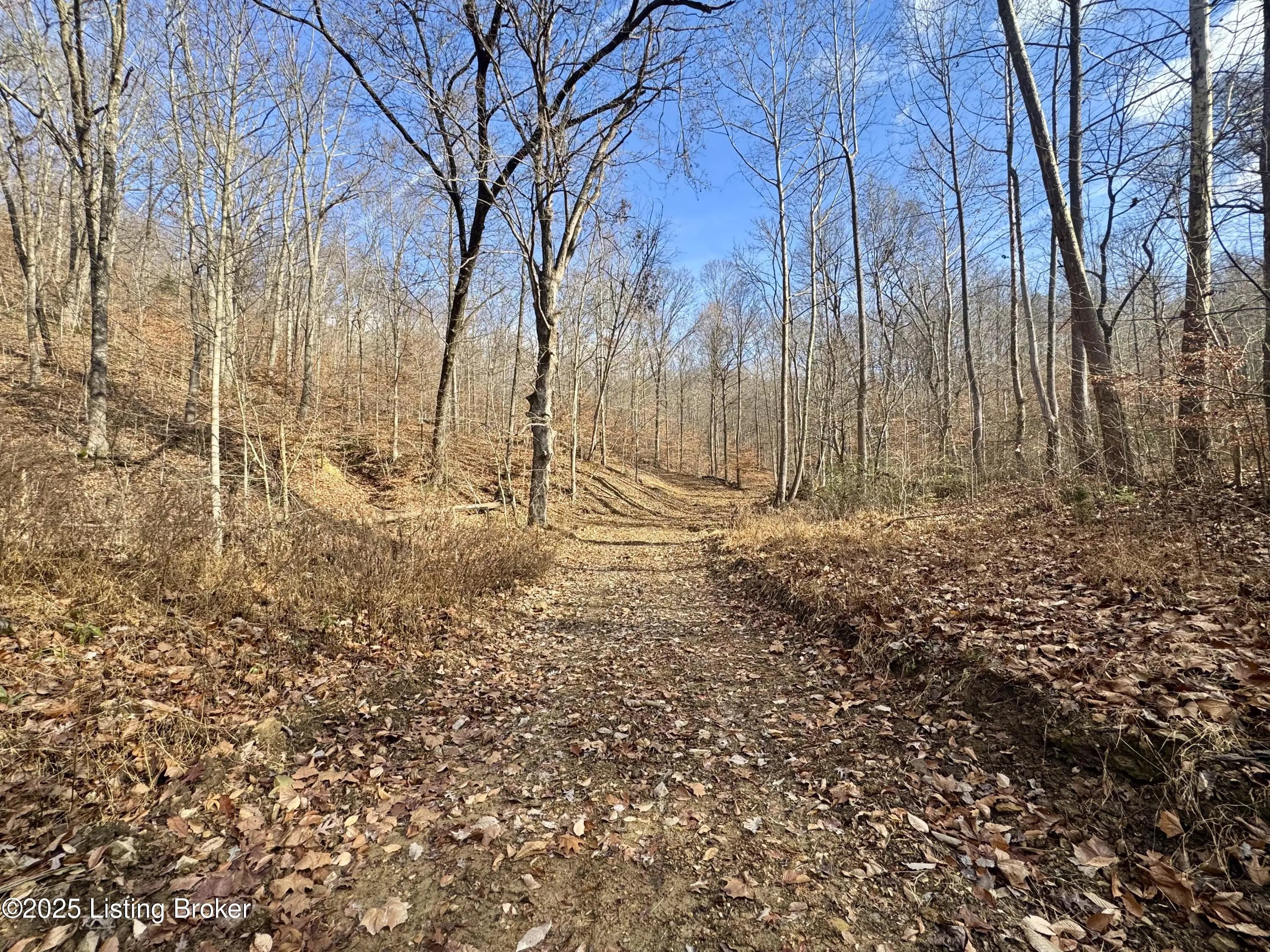 Photo of Listing #1705465