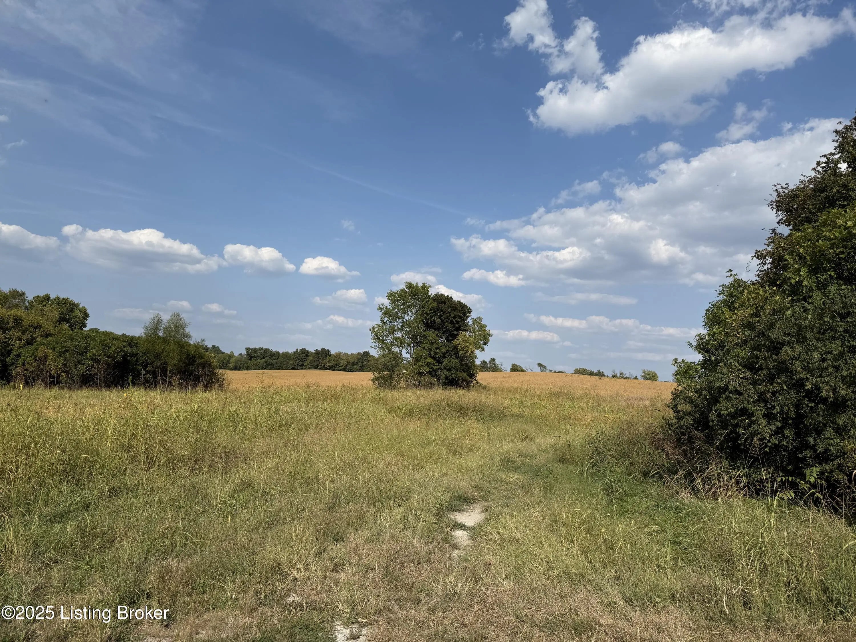 Photo of Listing #1706071