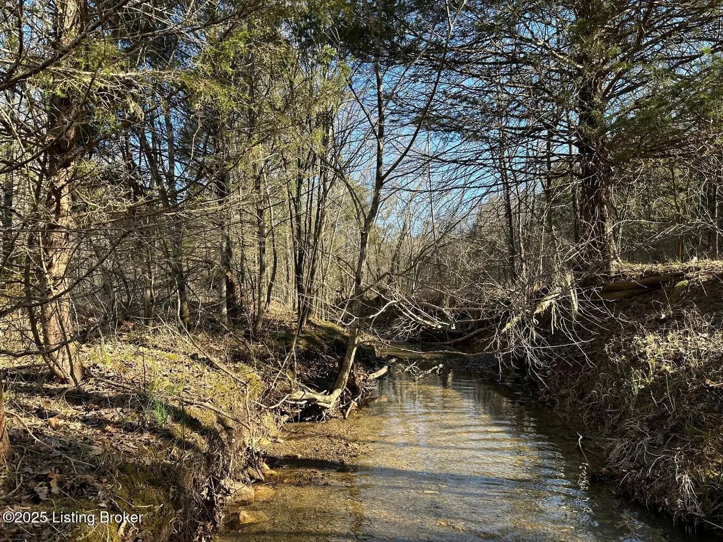 Photo of Listing #1706695