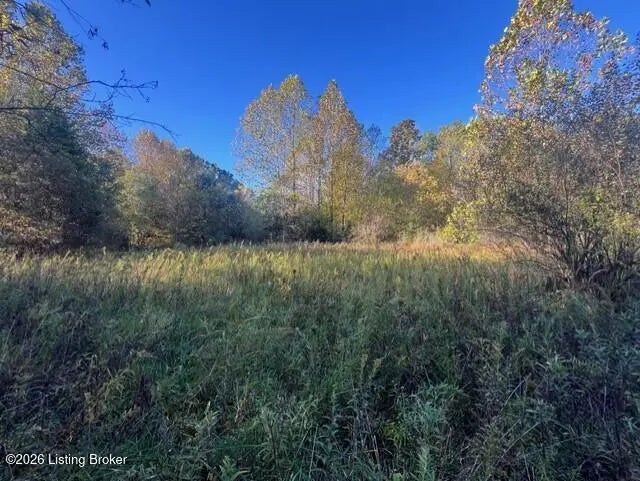 Photo of Listing #1706933