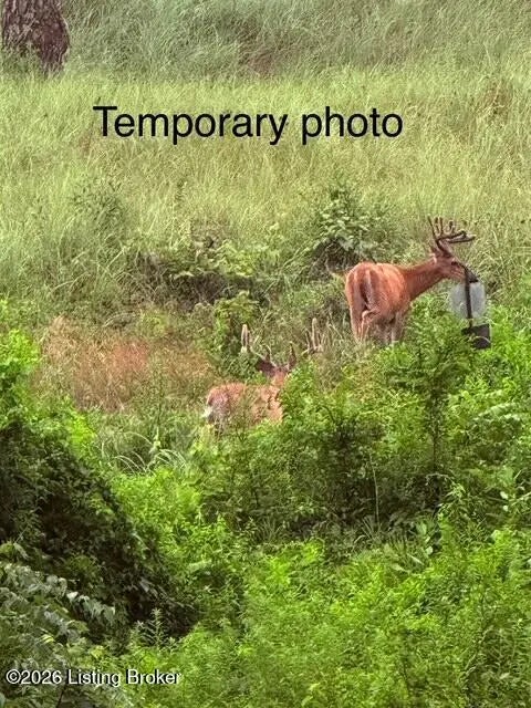 Photo of Listing #1707197