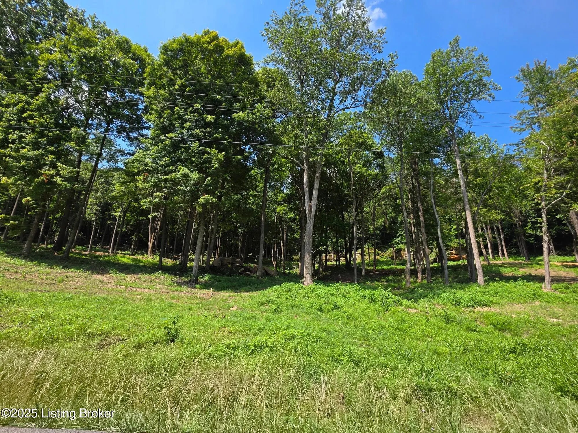 Photo of Listing #1707311