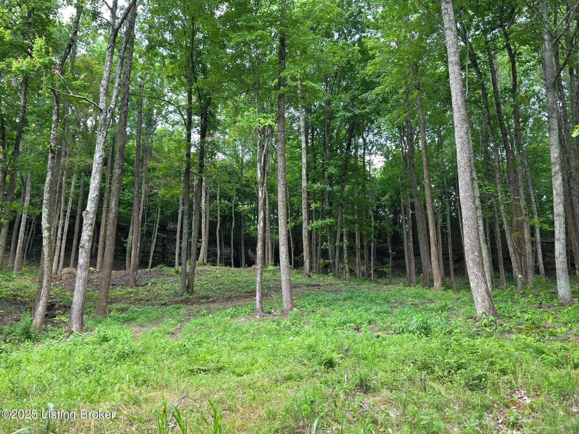 Photo of Listing #1707315