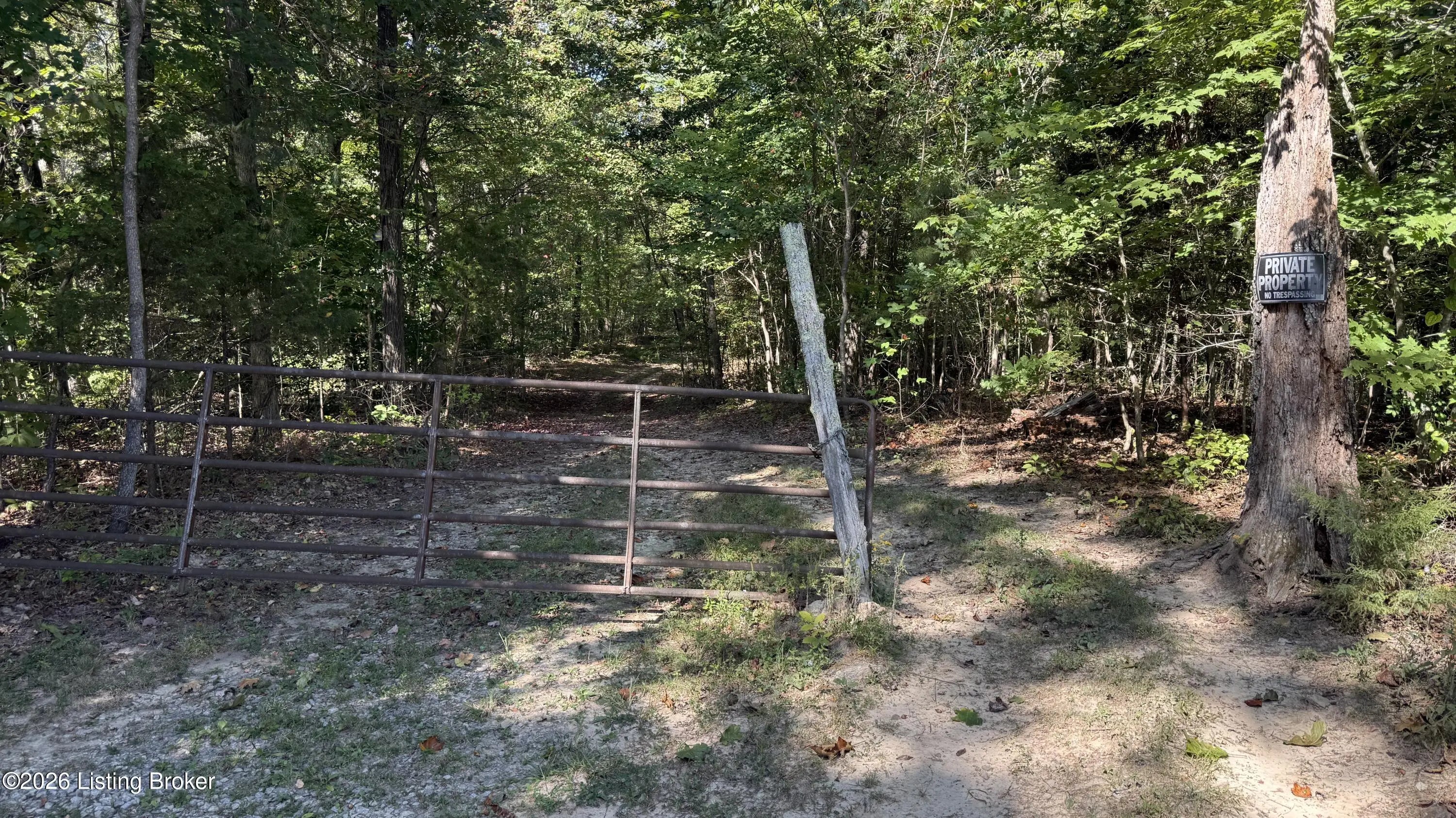 Photo of Listing #1707355