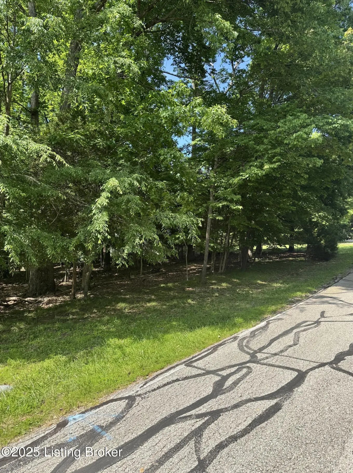 Photo of Listing #1707401