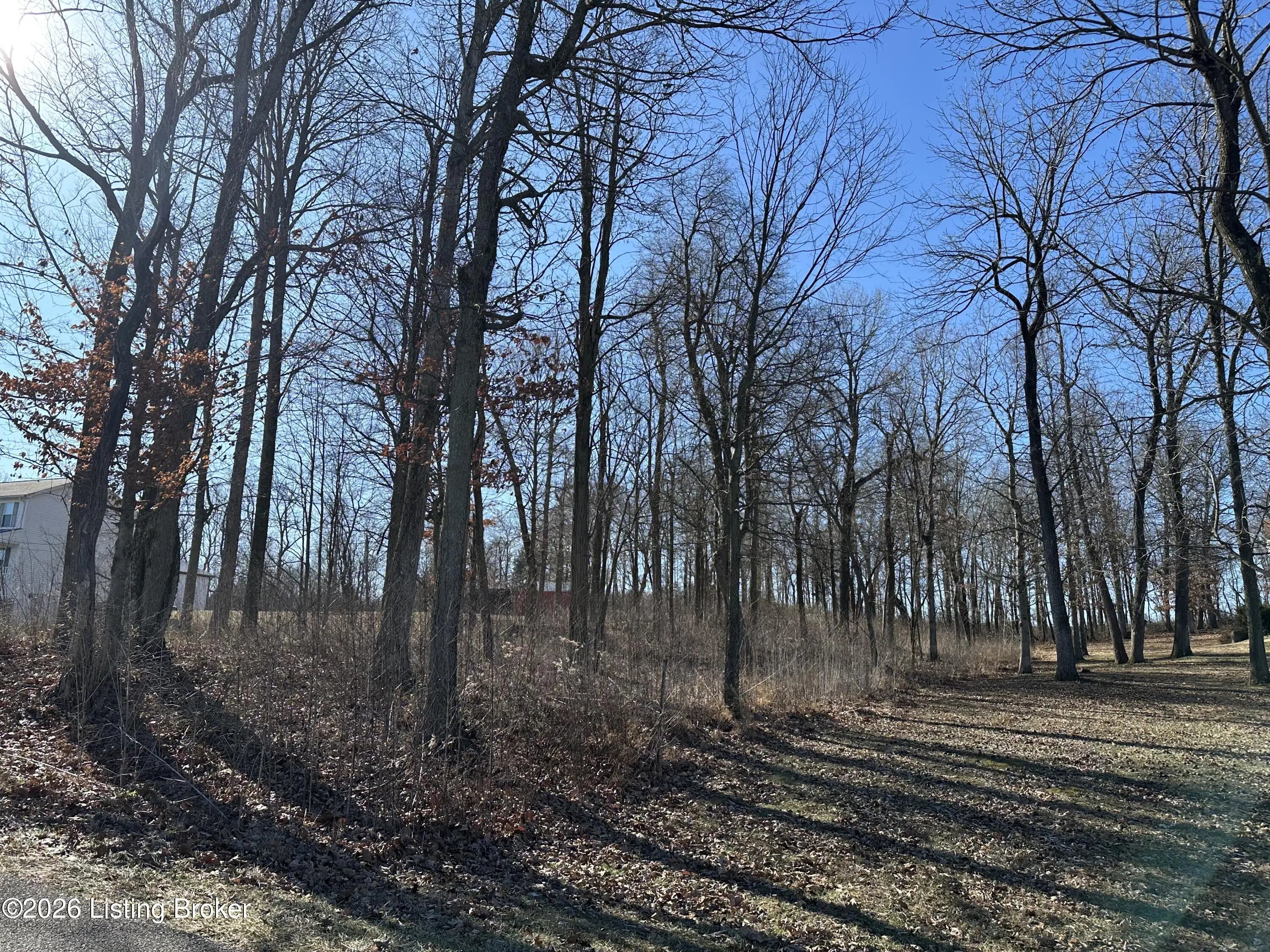 Photo of Listing #1707406