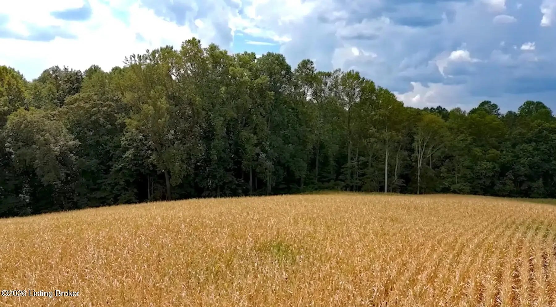 Photo of Listing #1707514