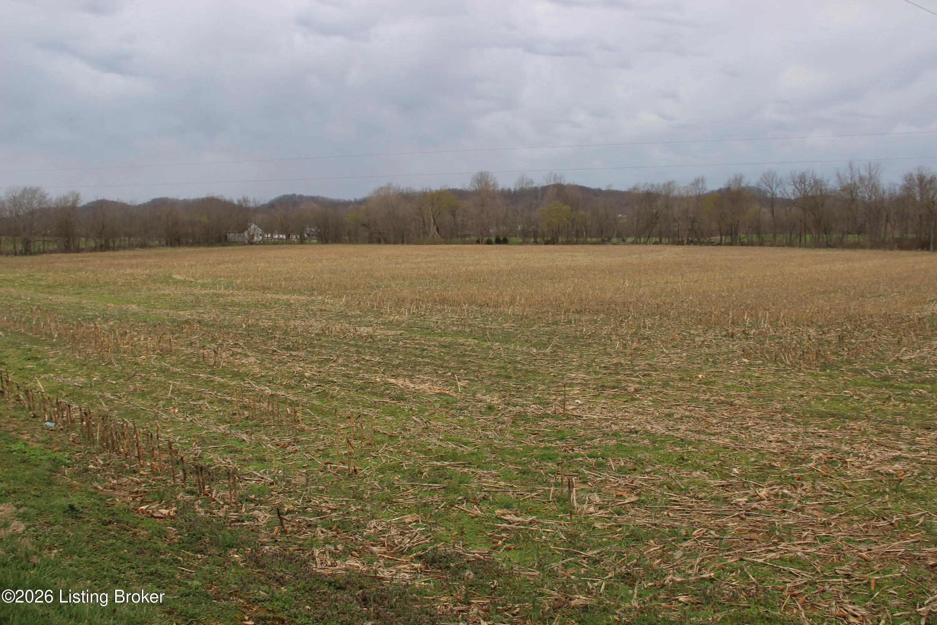 Photo of Listing #1707705