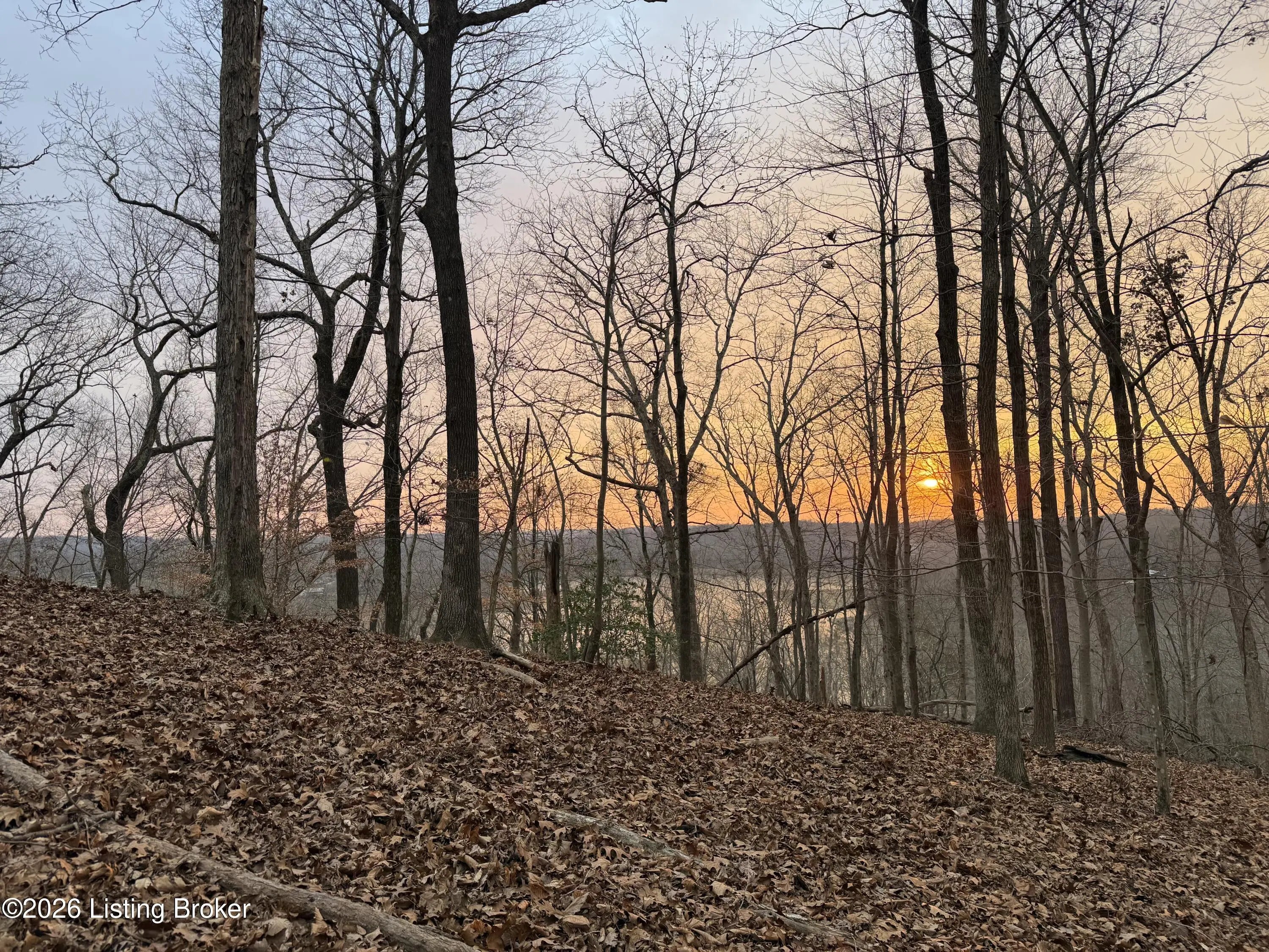 Photo of Listing #1707829