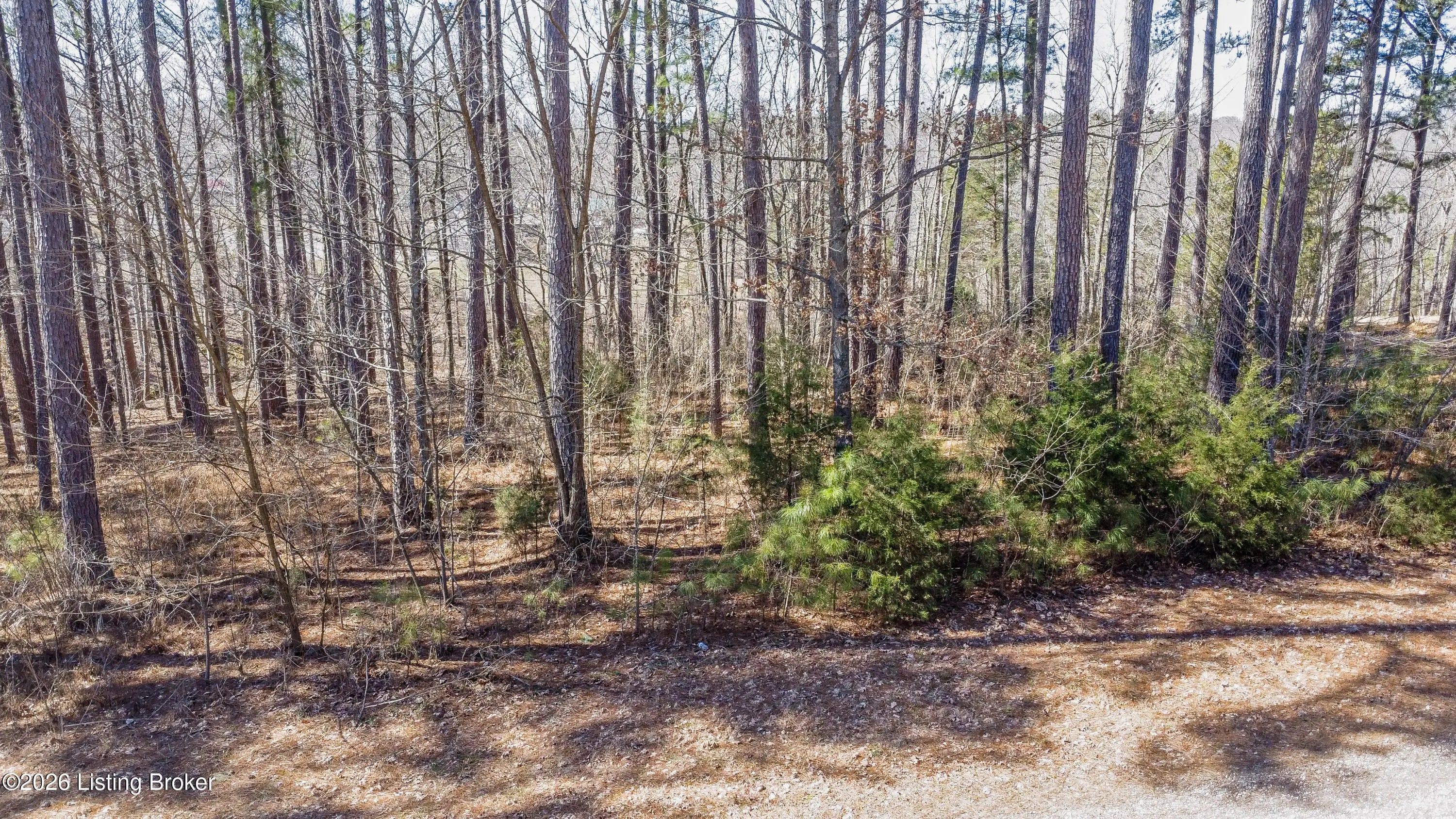 Photo of Listing #1710420