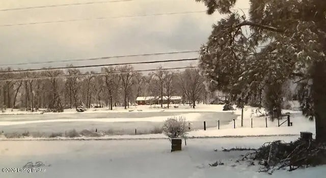 Photo of Listing #1708603