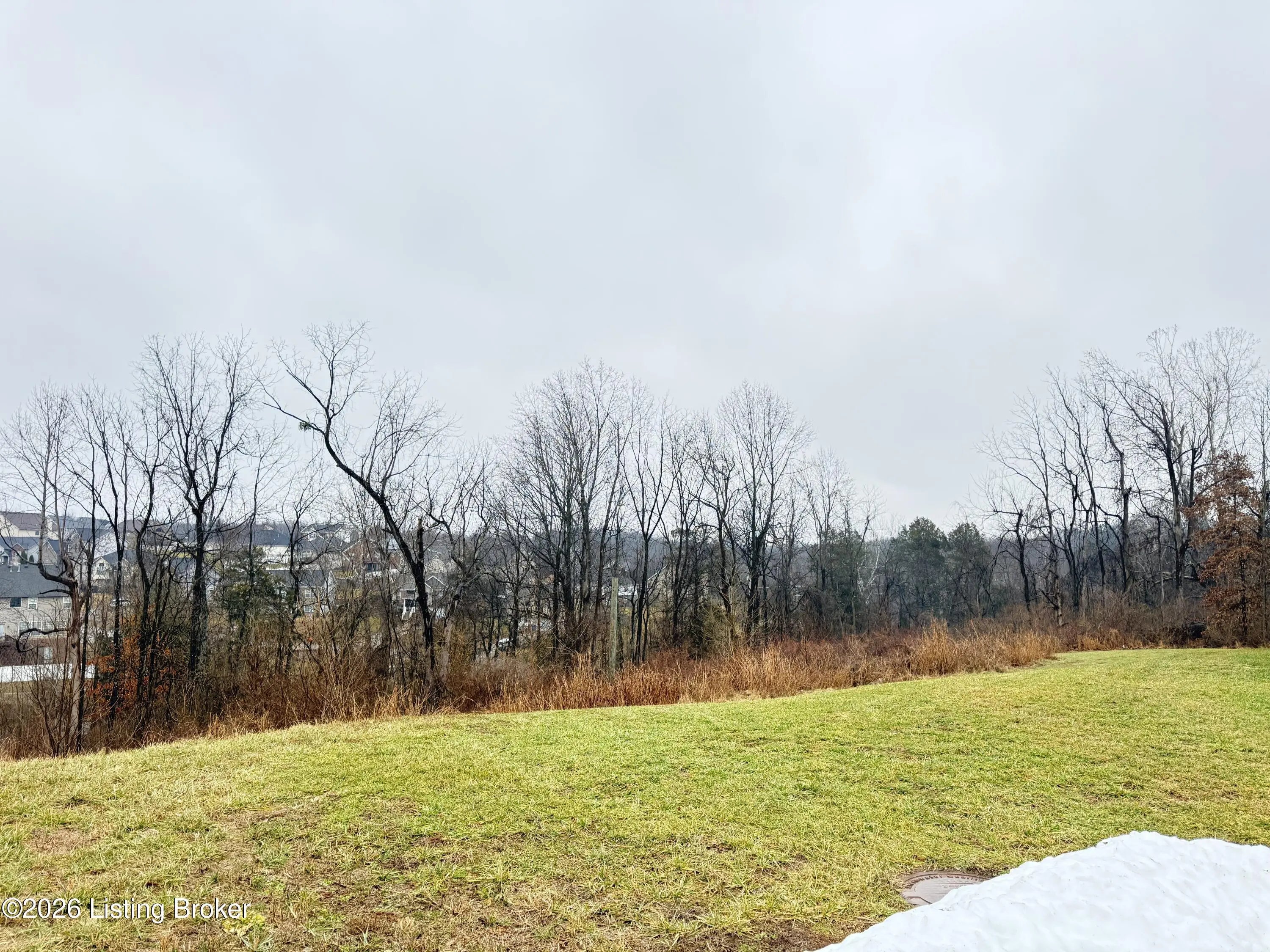 Photo of Listing #1709088