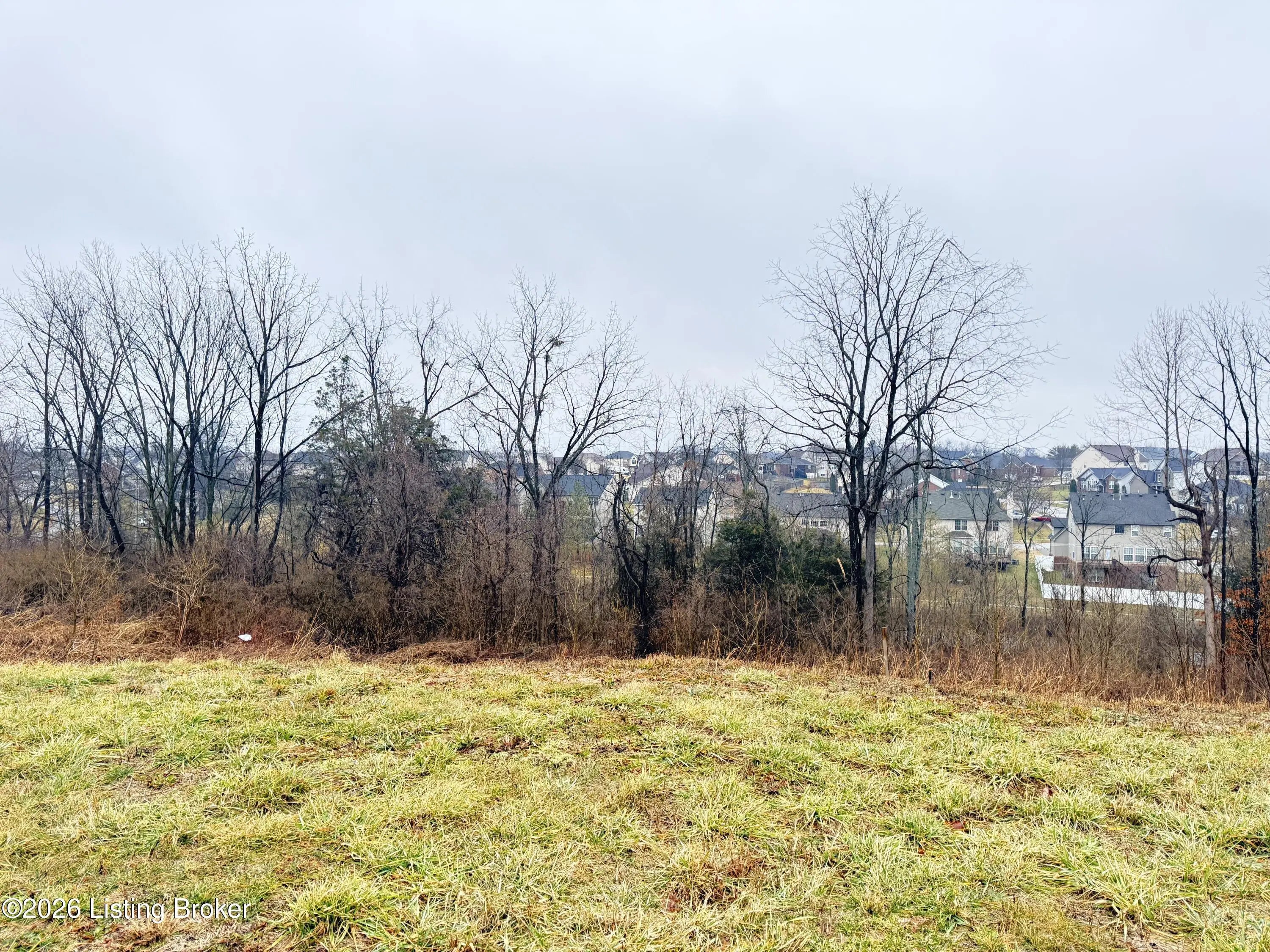 Photo of Listing #1709087