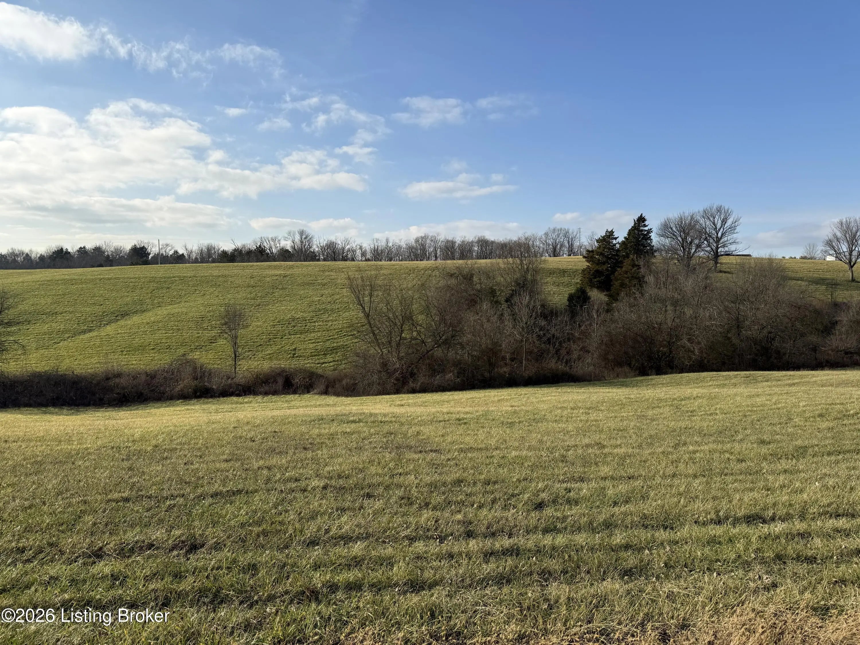 Photo of Listing #1709109