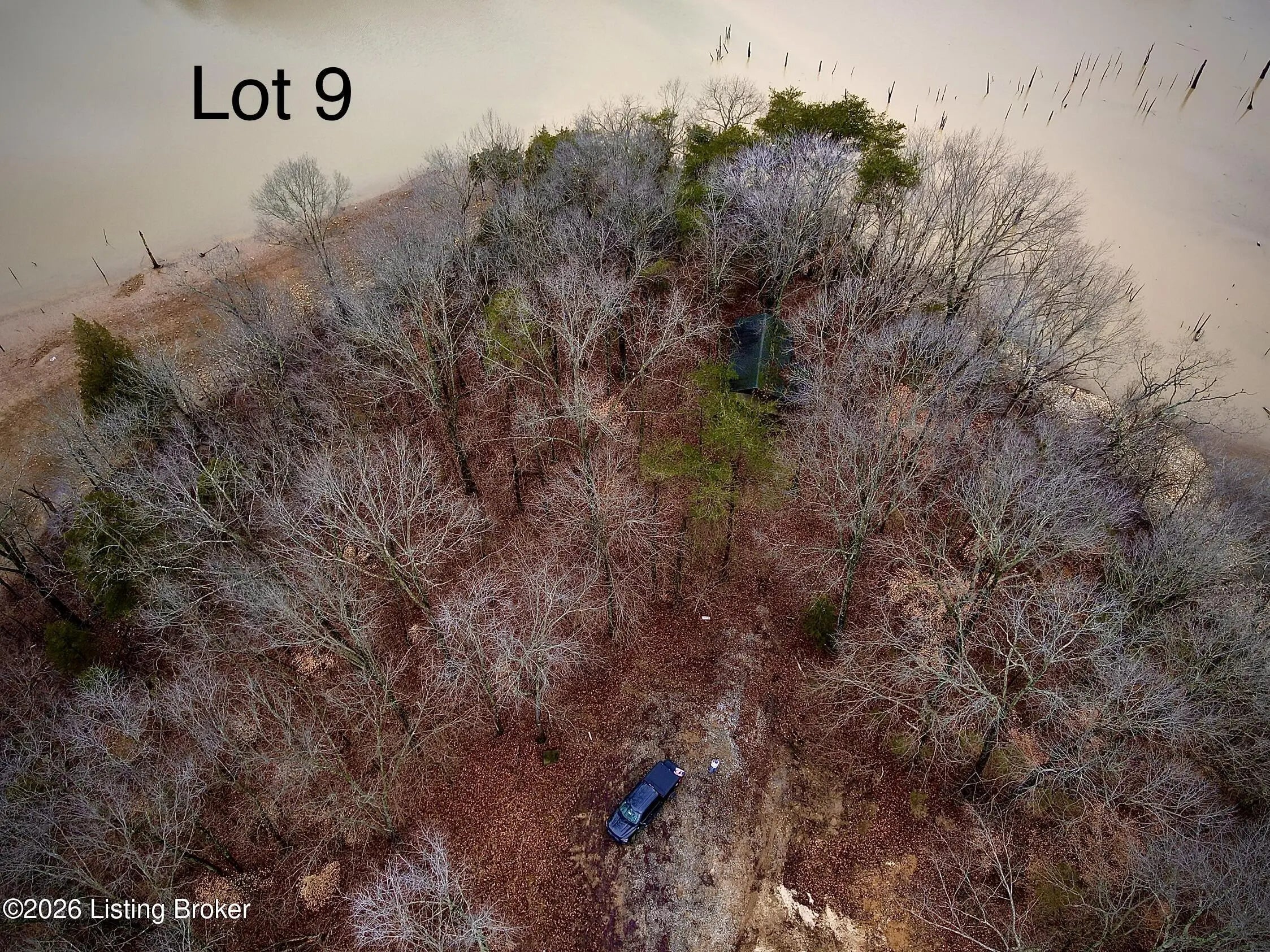 Photo of Listing #1709243