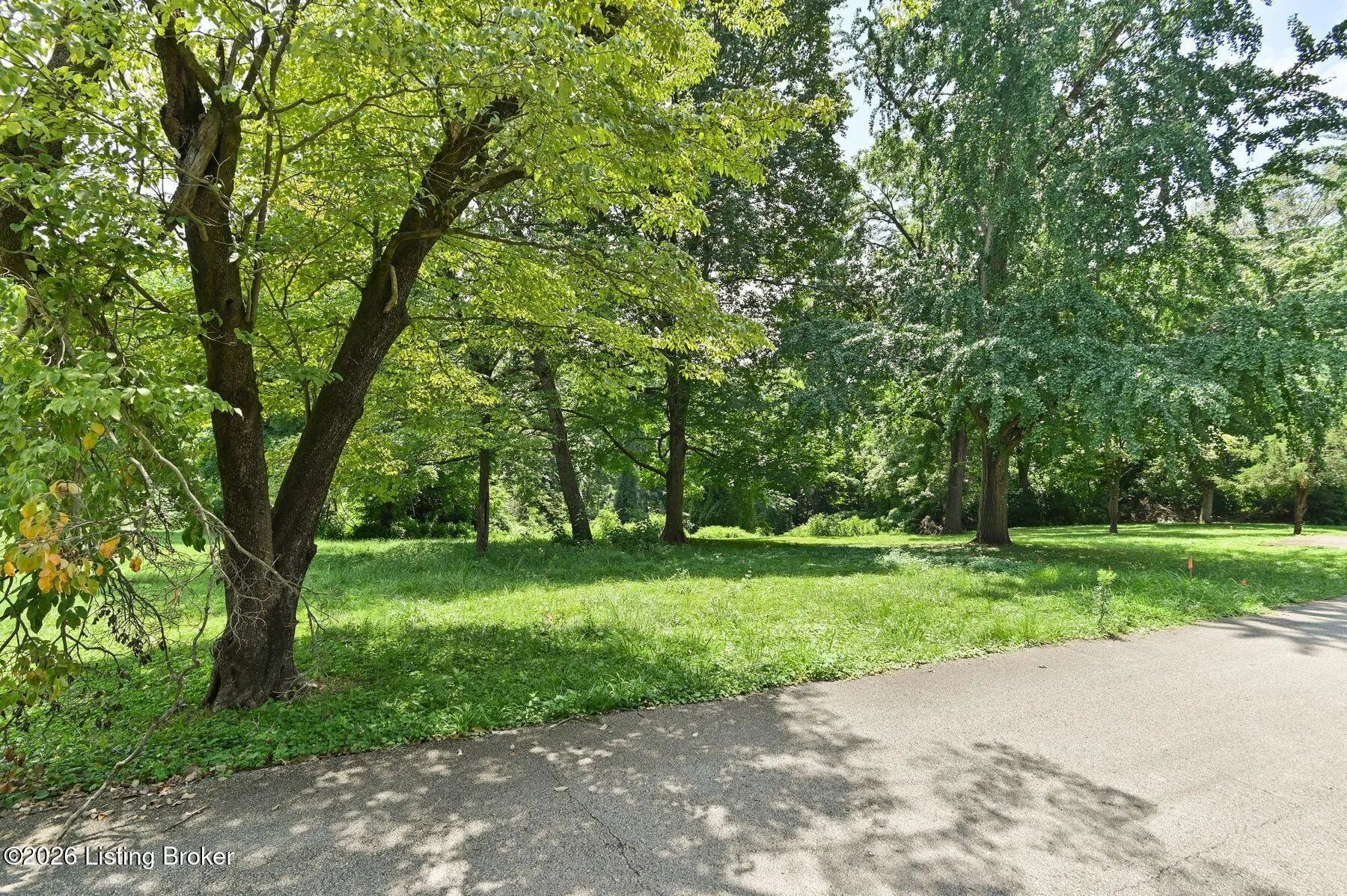 Photo of Listing #1709353