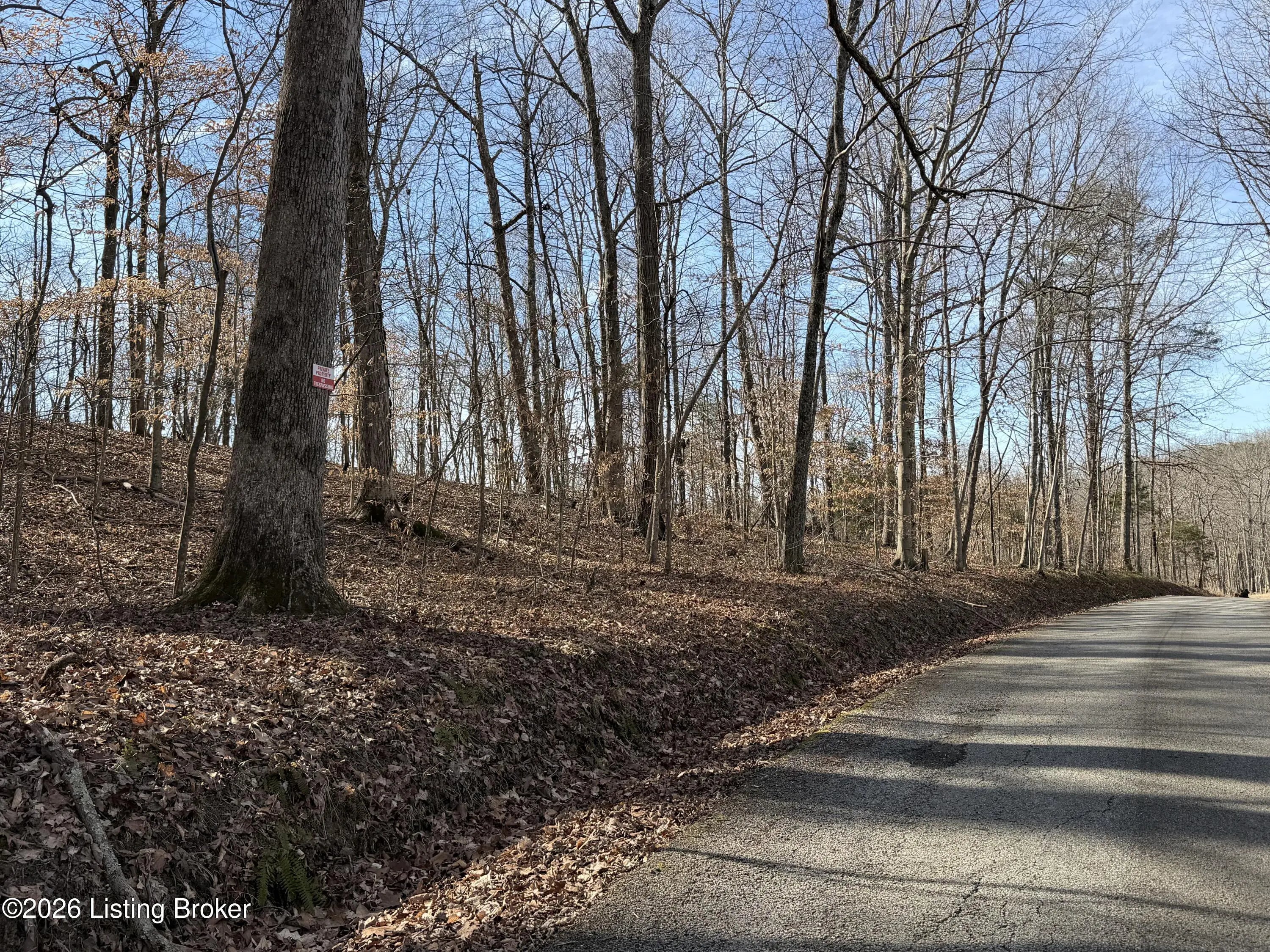 Photo of Listing #1709469