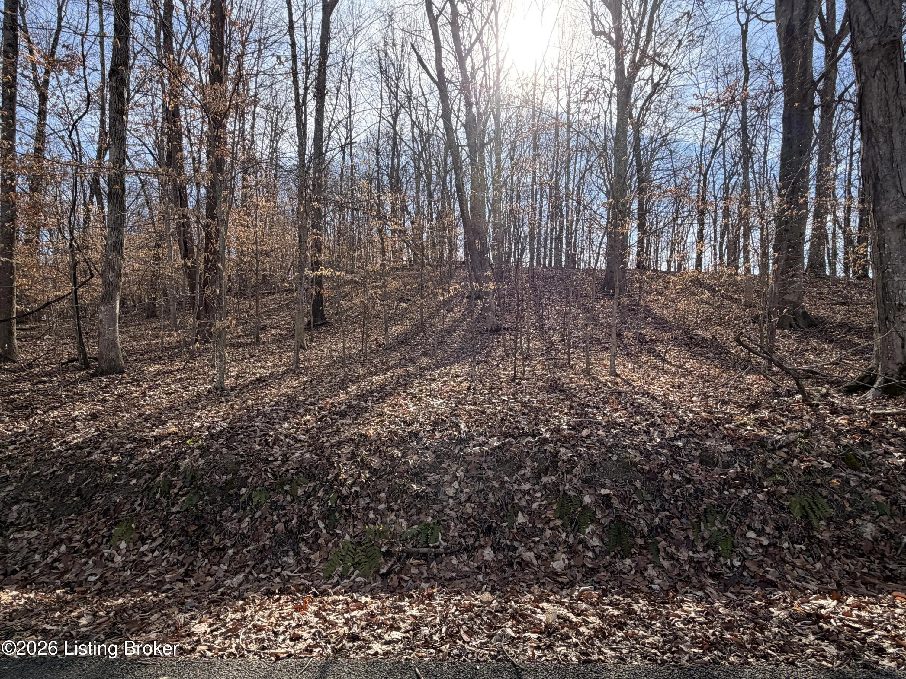 Photo of Listing #1709480