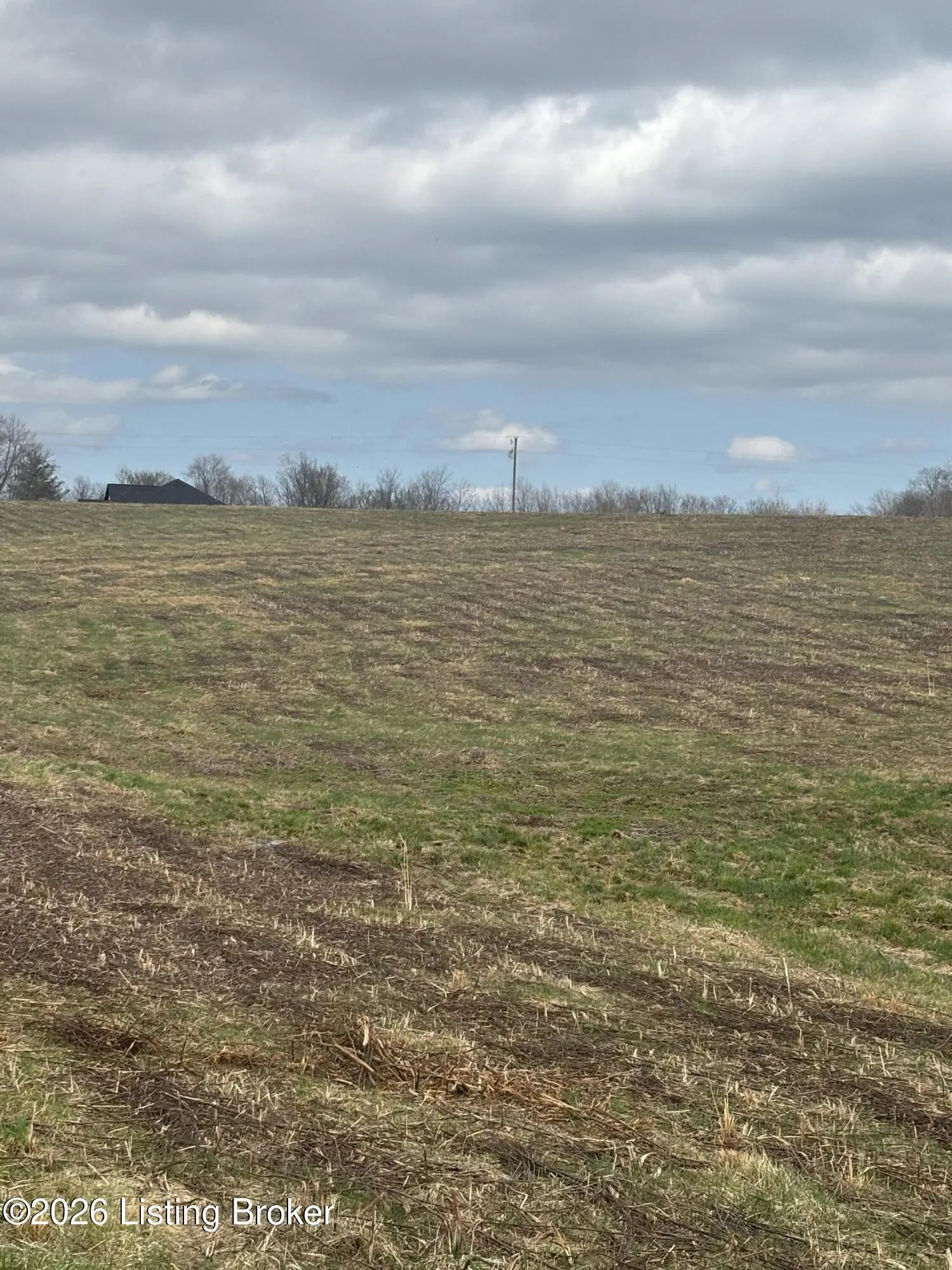 Photo of Listing #1709526