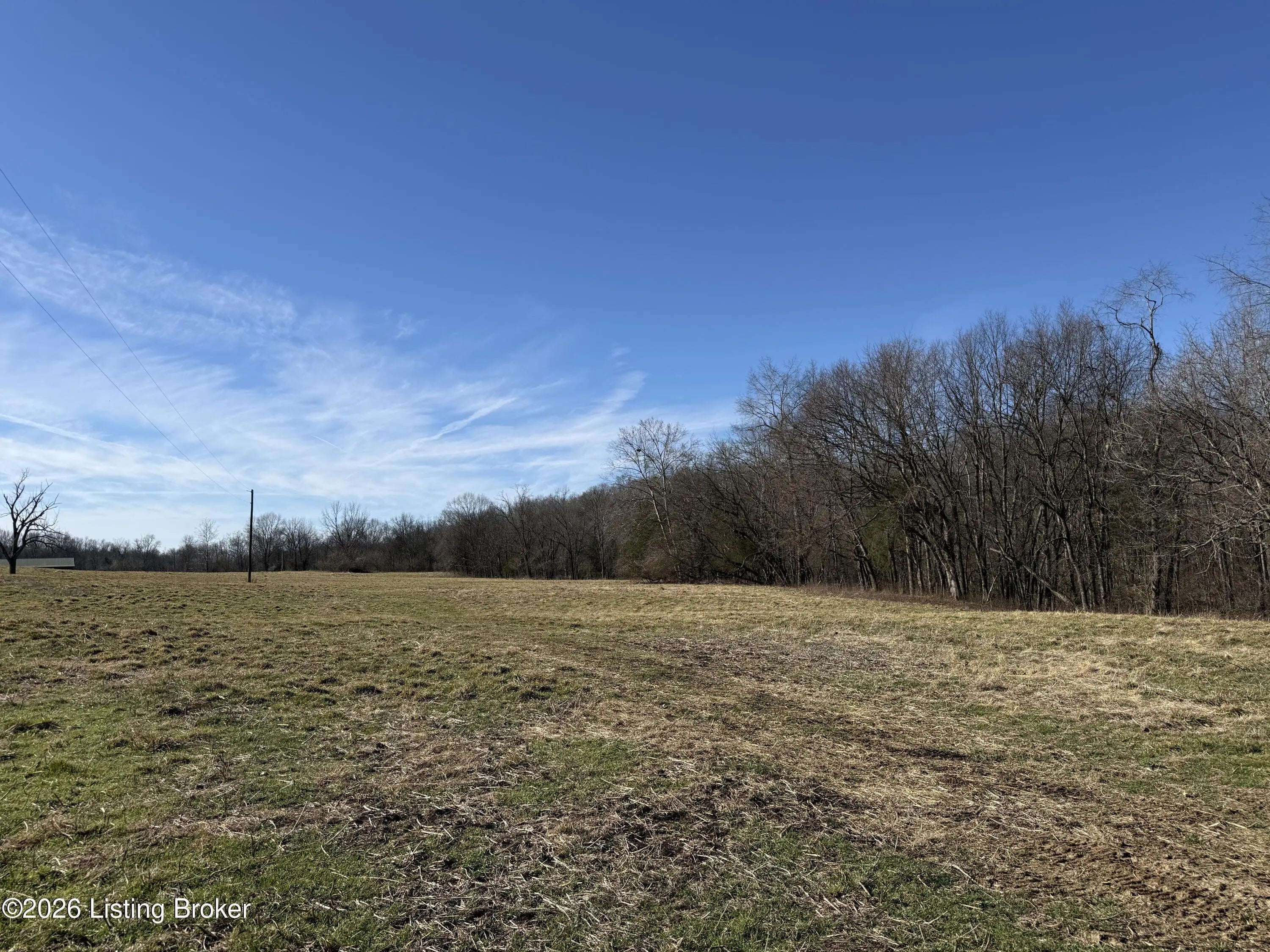 Photo of Listing #1709568