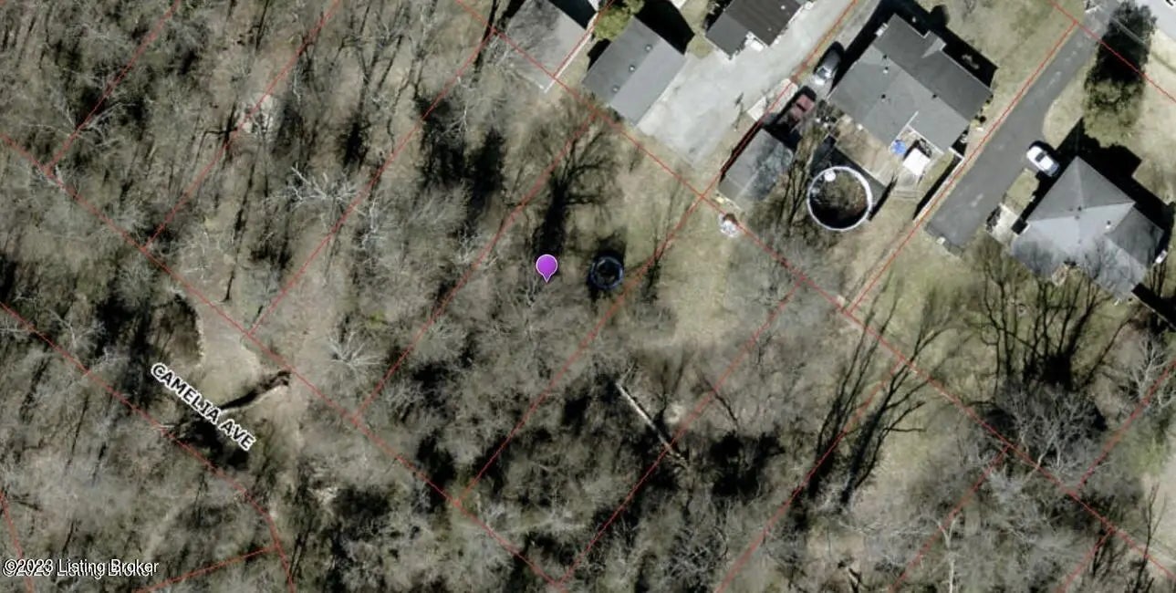 Photo of Listing #1709840