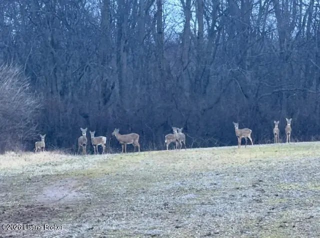 Photo of Listing #1710499