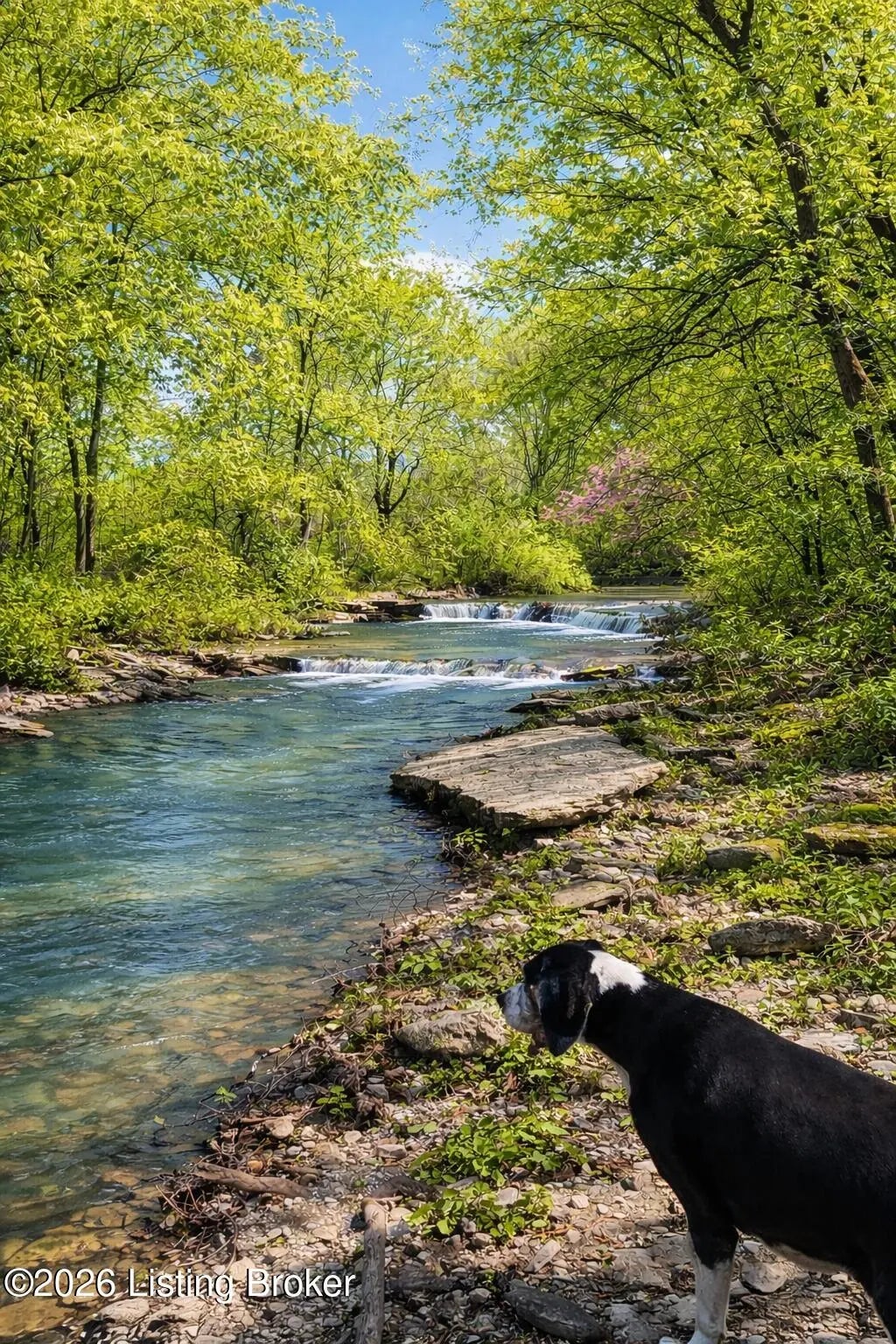 Photo of Listing #1710664