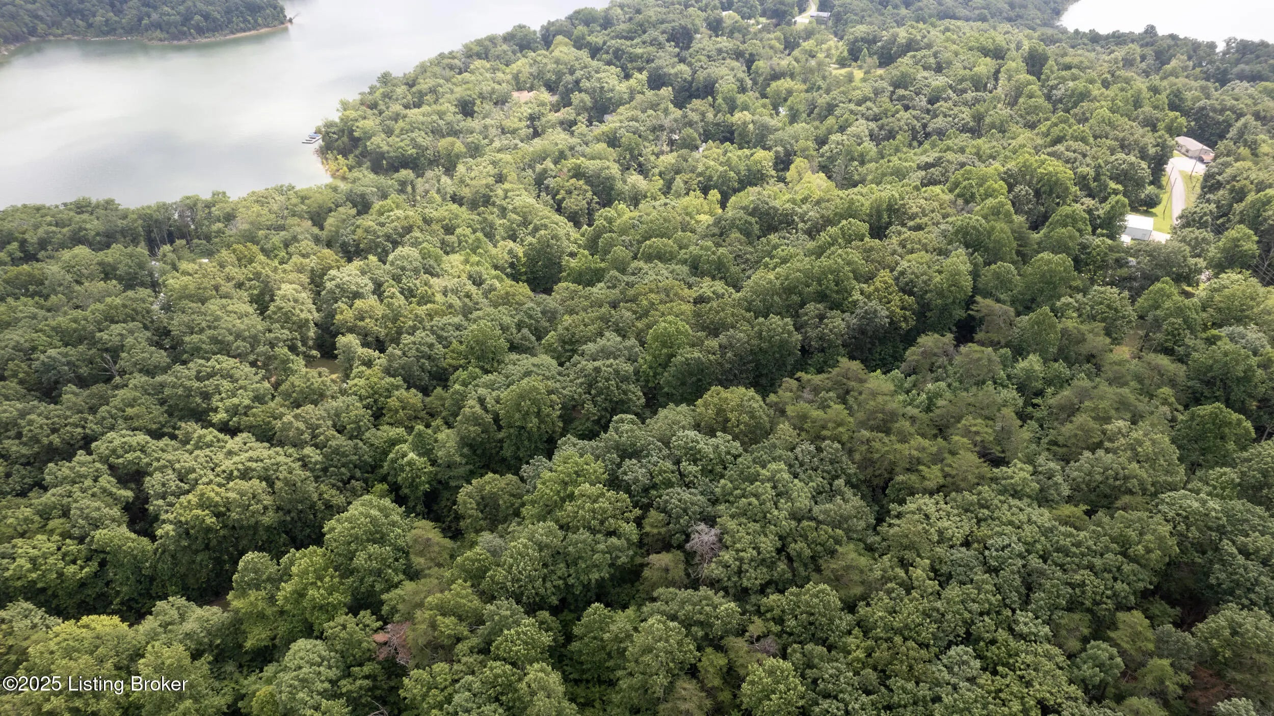 Photo of Listing #1710646