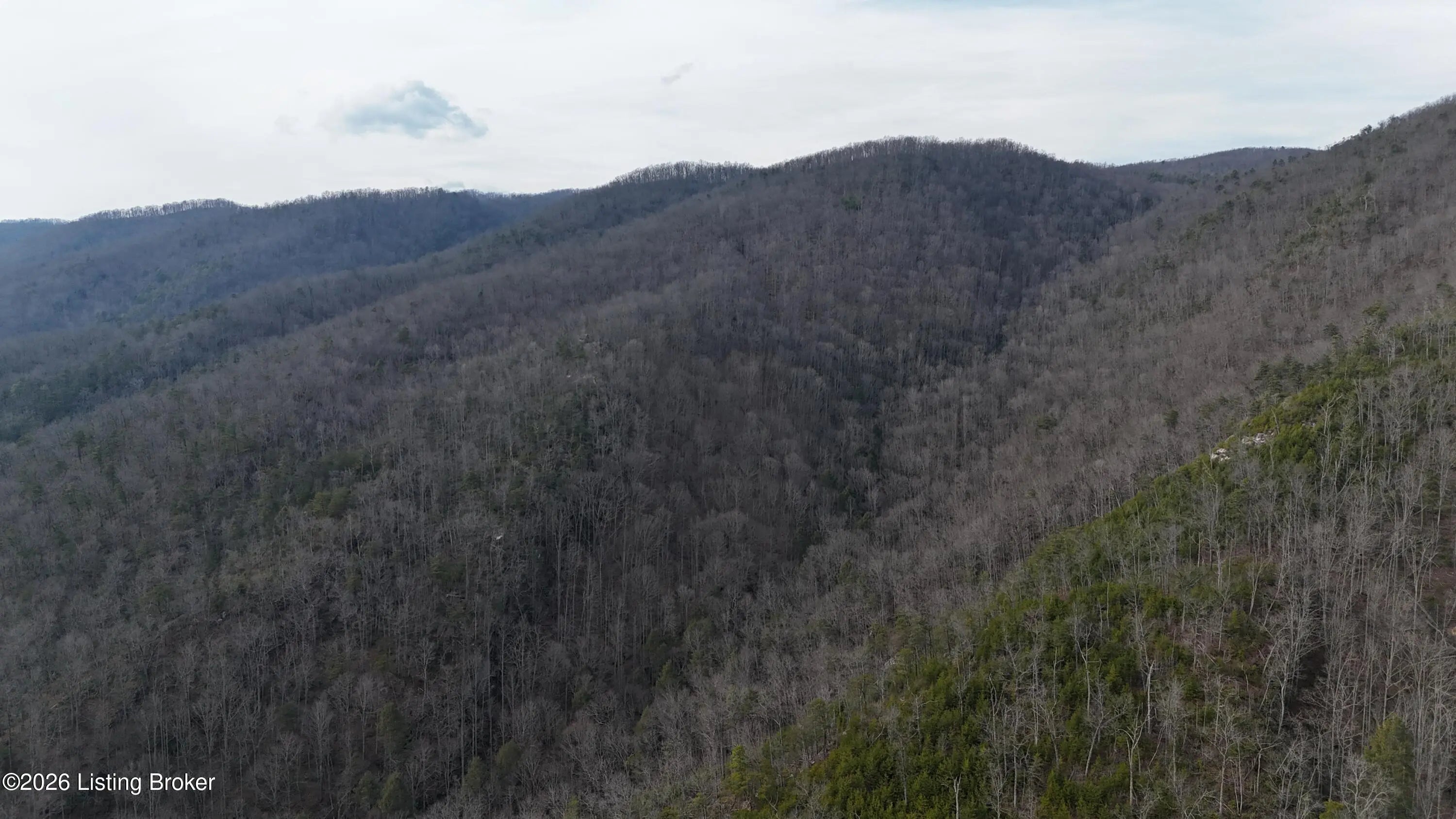 Photo of Listing #1711669