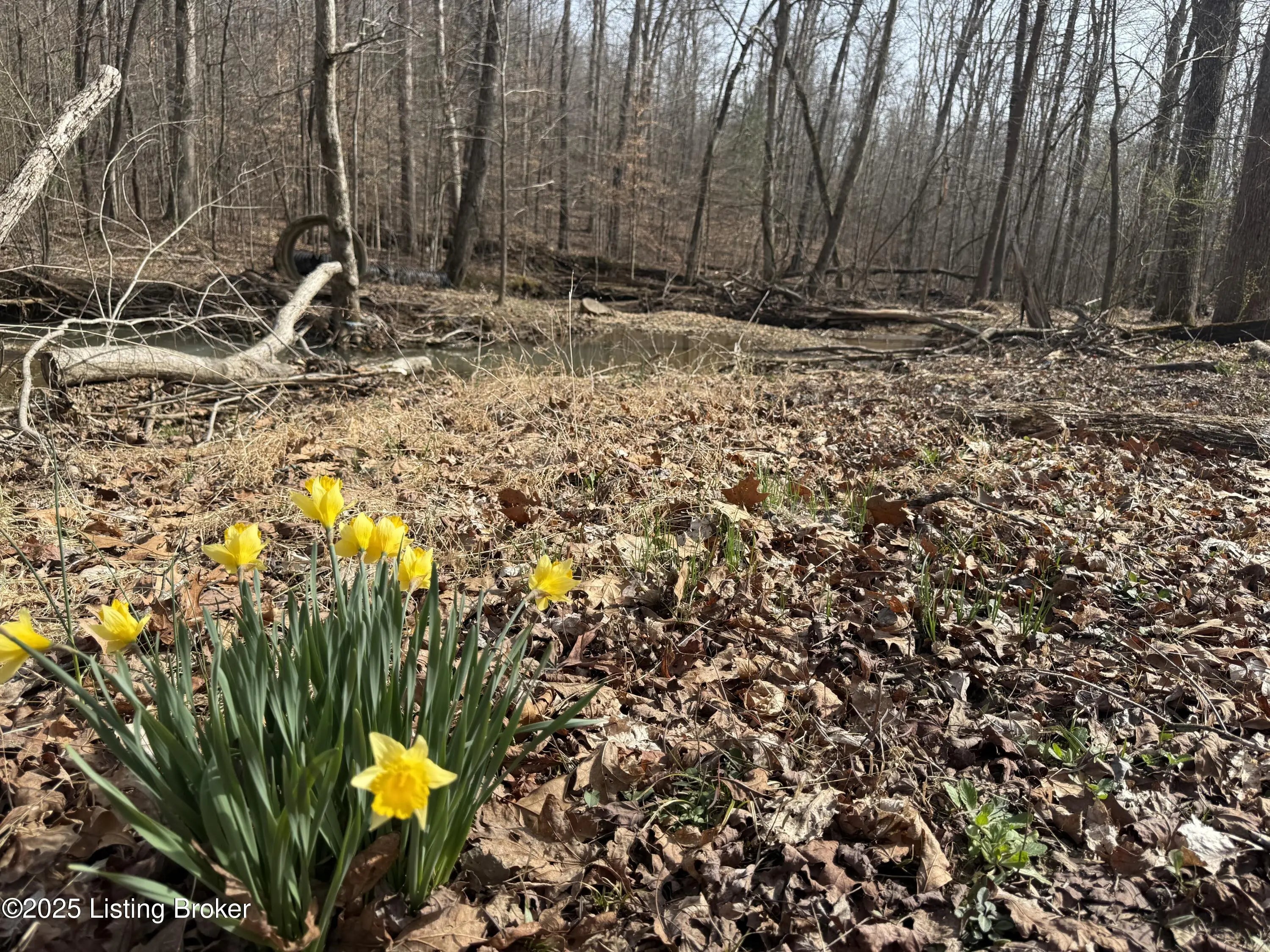 Photo of Listing #1710948