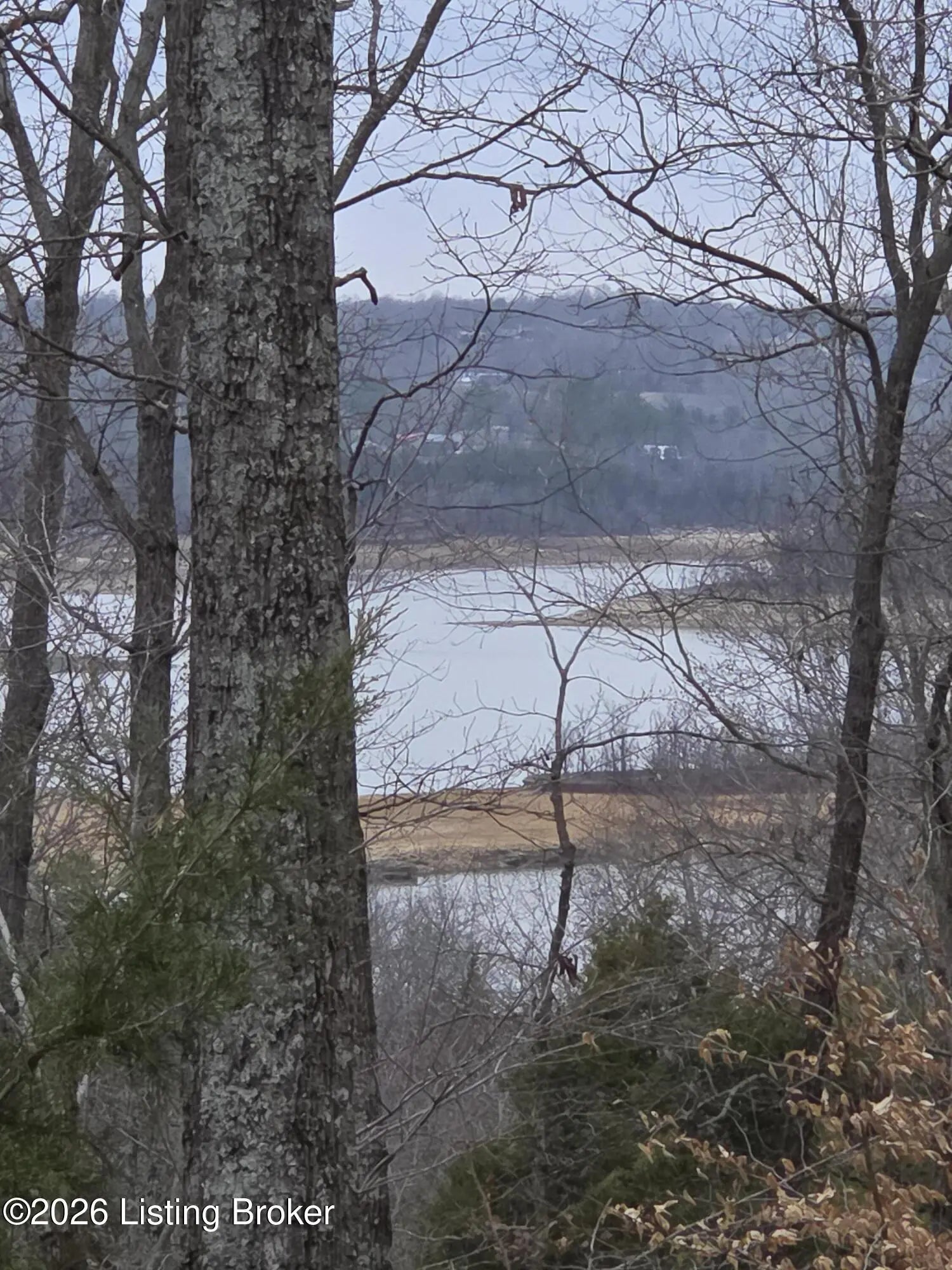 Photo of Listing #1711386