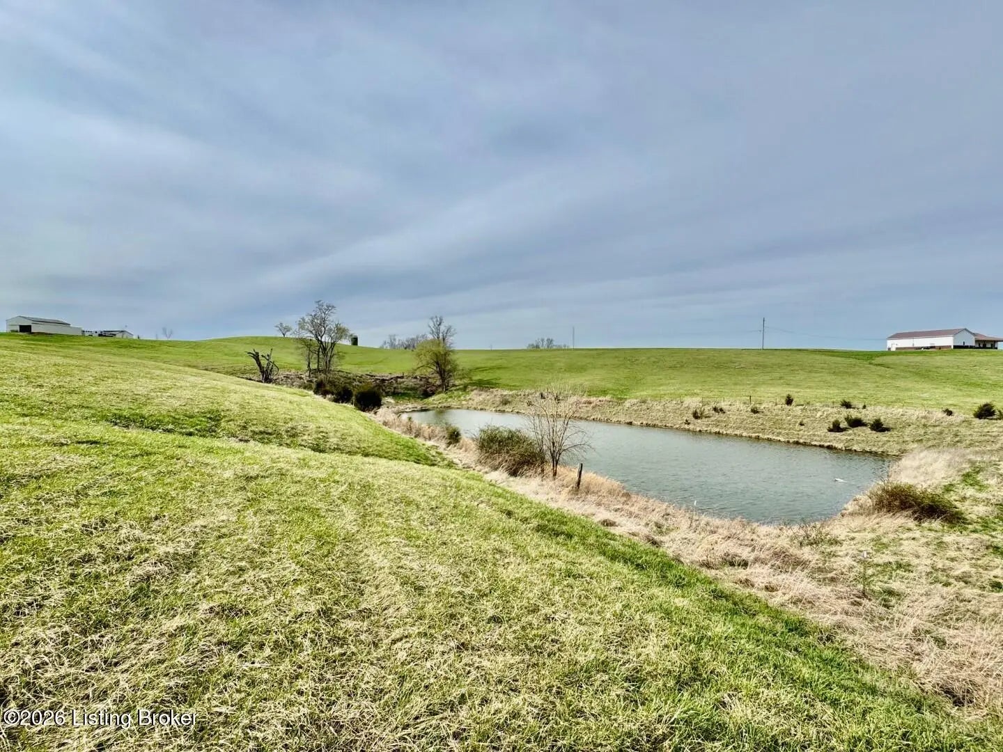 Photo of Listing #1711573