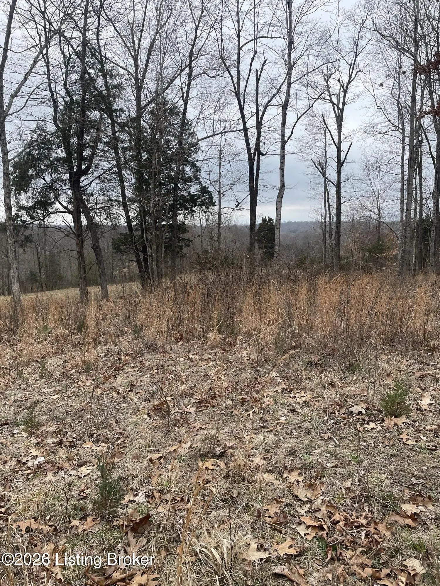 Photo of Listing #1711585