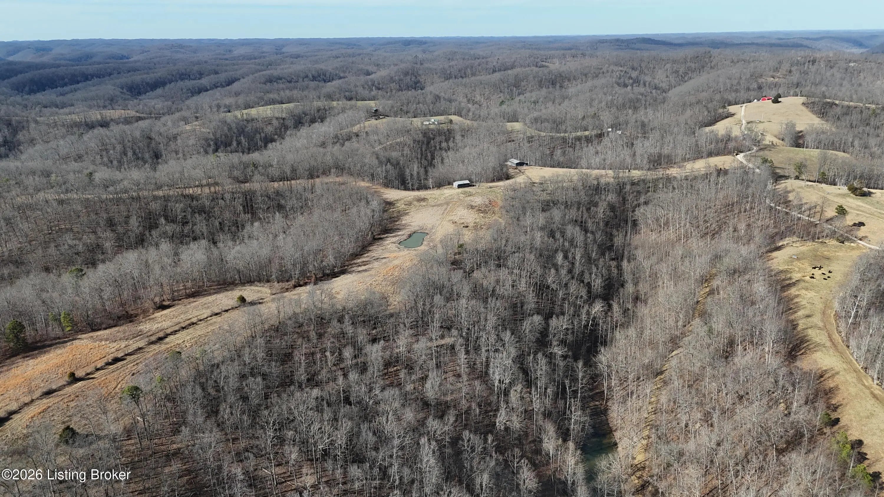 Photo of Listing #1712066