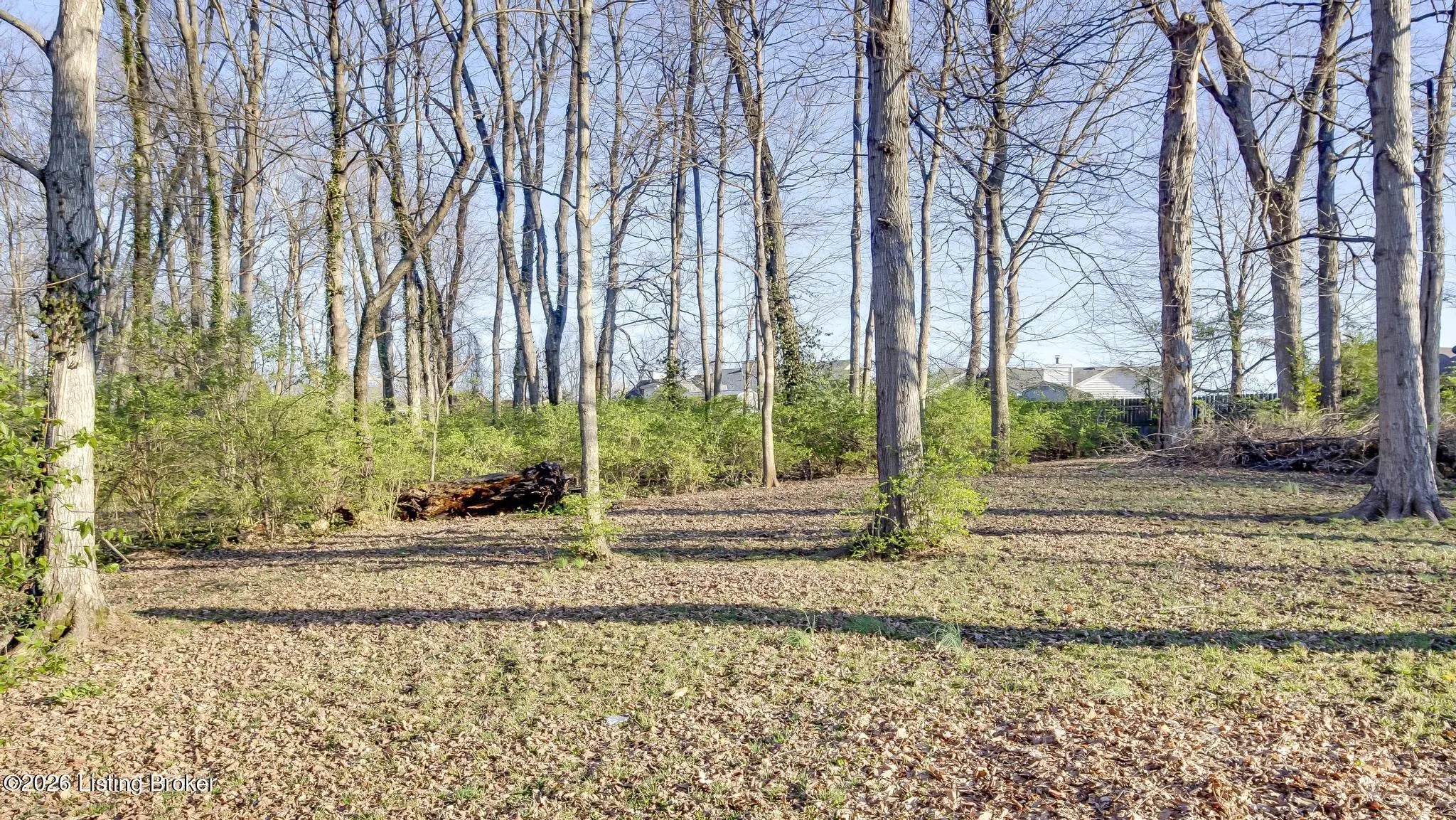 Photo of Listing #1711935