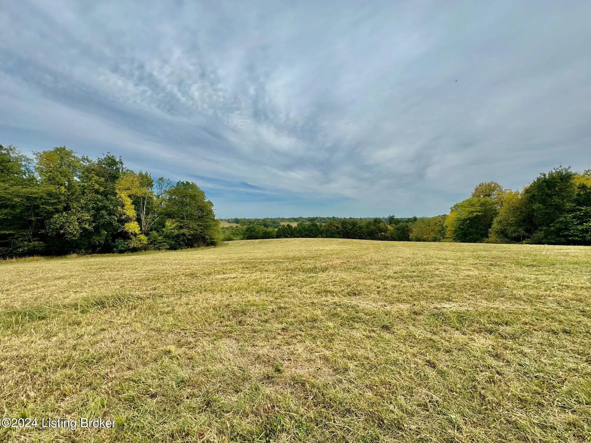 Photo of Listing #1712235