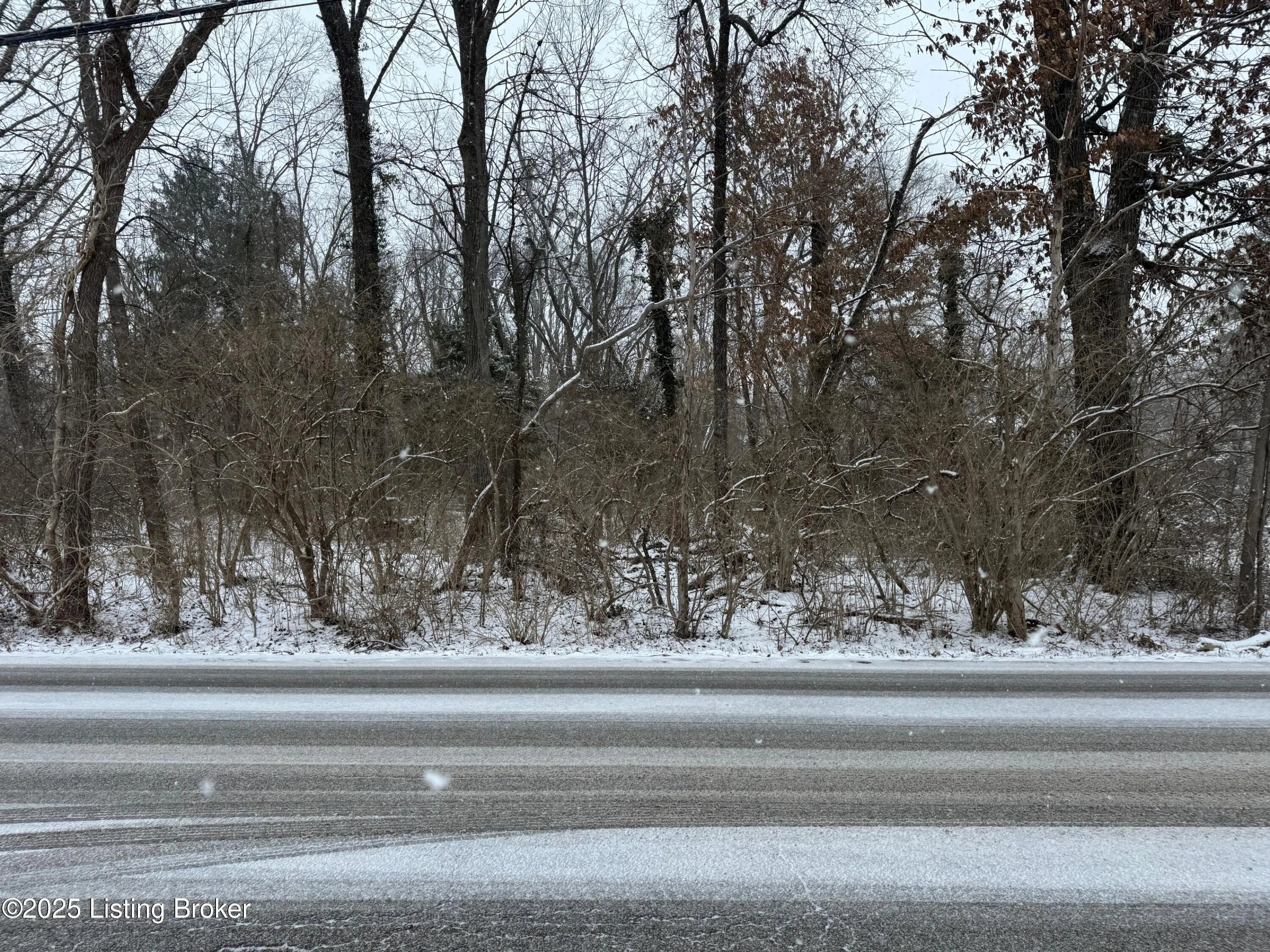 Photo of Listing #1712282