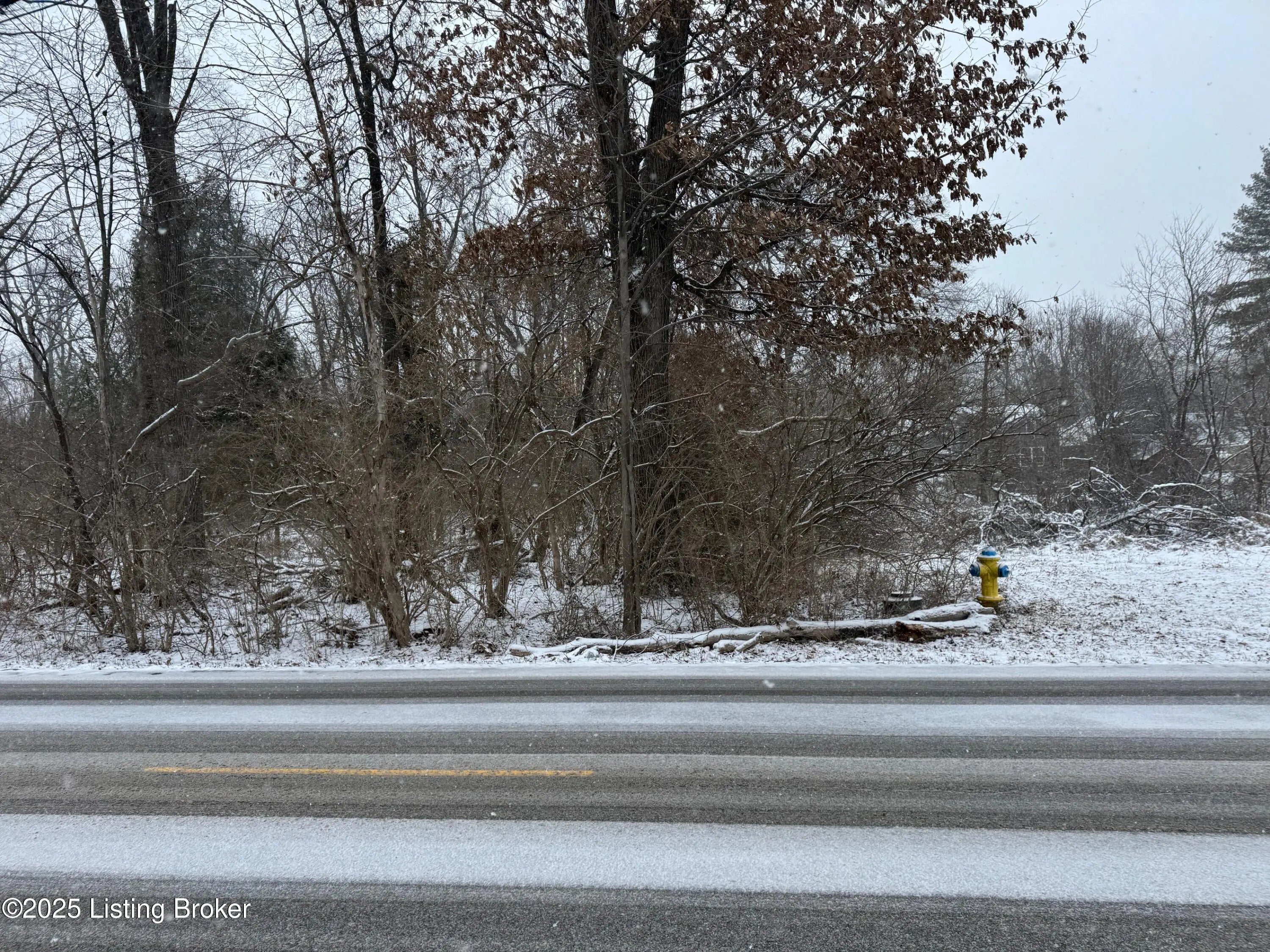 Photo of Listing #1712281