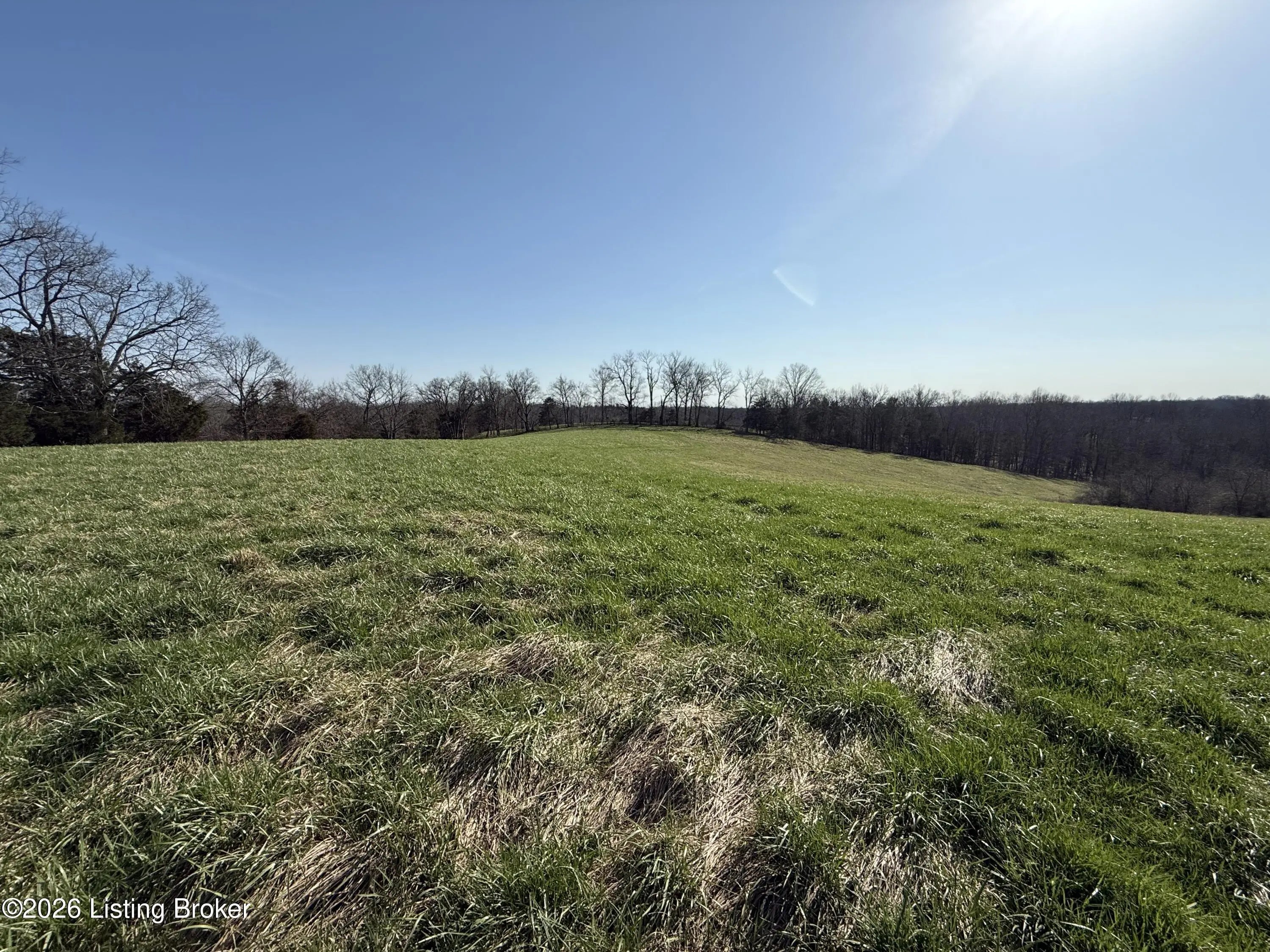 Photo of Listing #1712399