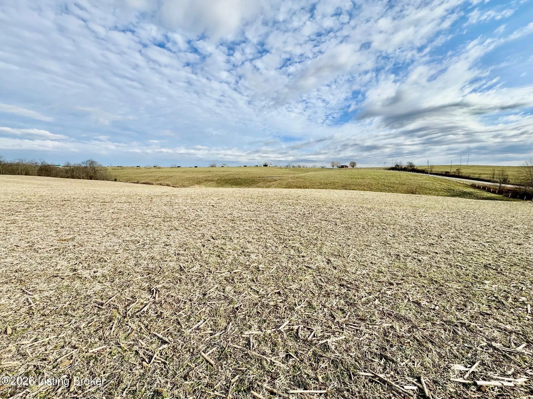 Photo of Listing #1712393