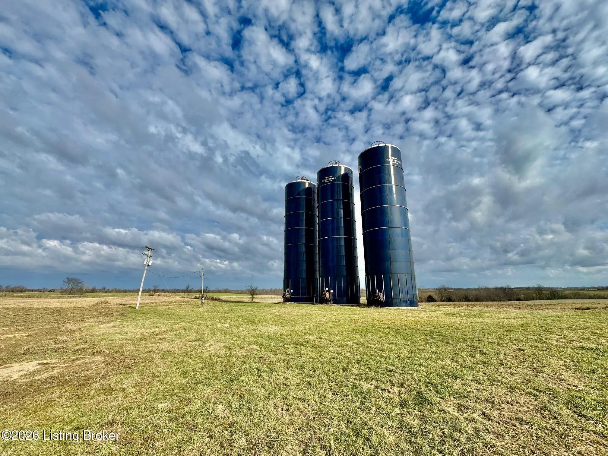 Photo of Listing #1712397