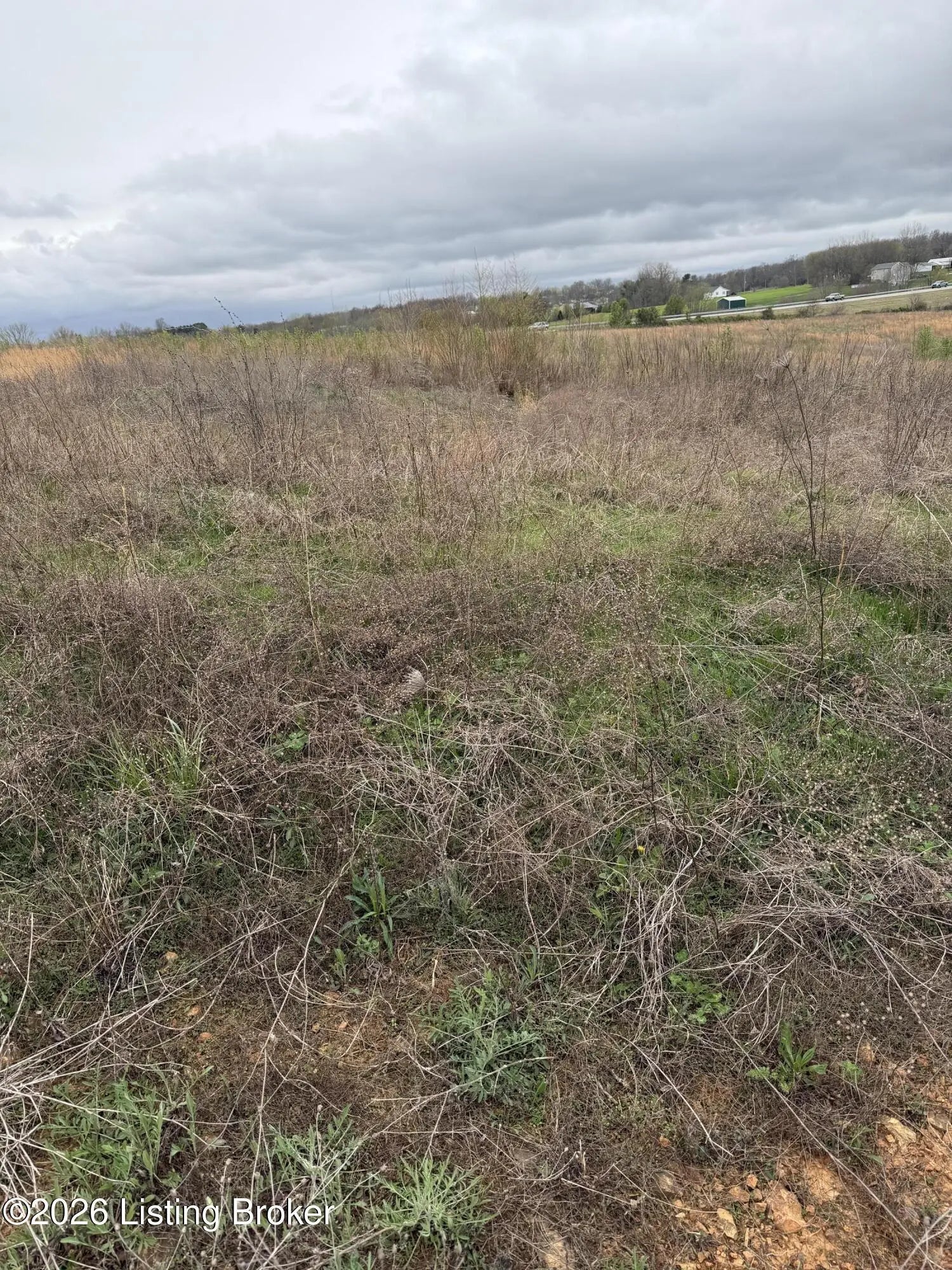 Photo of Listing #1712722