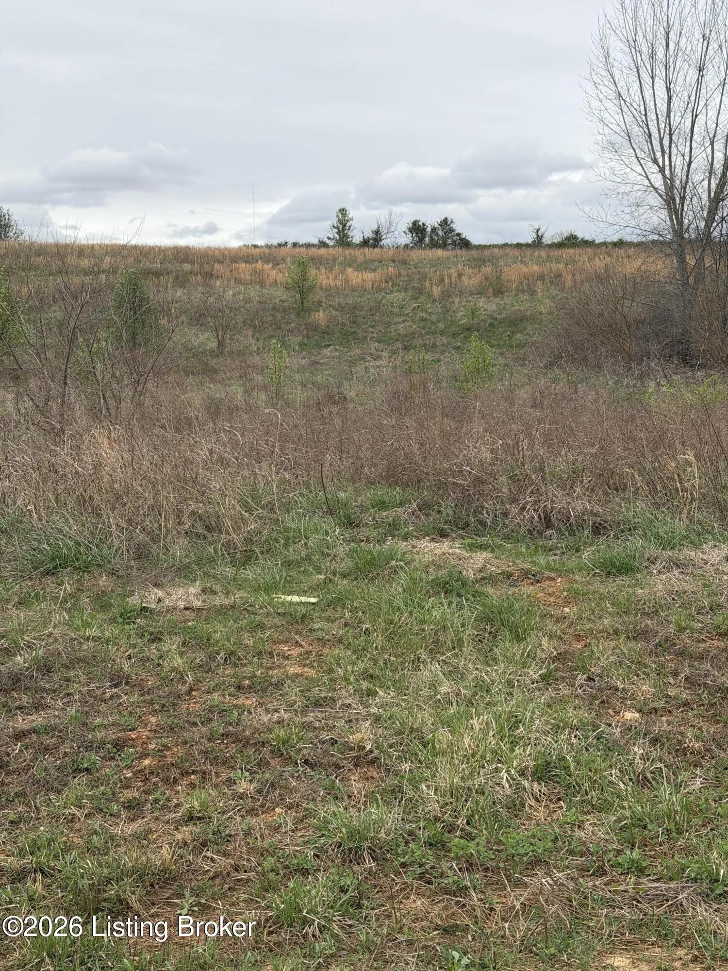 Photo of Listing #1712723