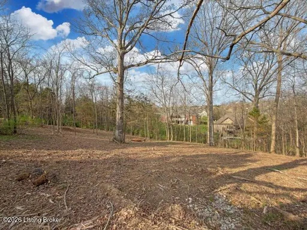 0 Lot 132 Oak Leaf Ct, Mt Washington