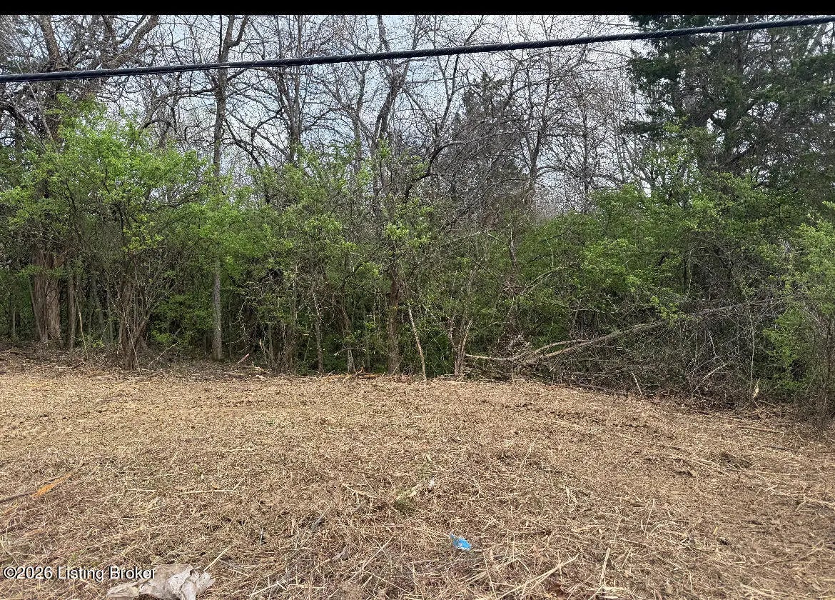 Photo of Listing #1713713