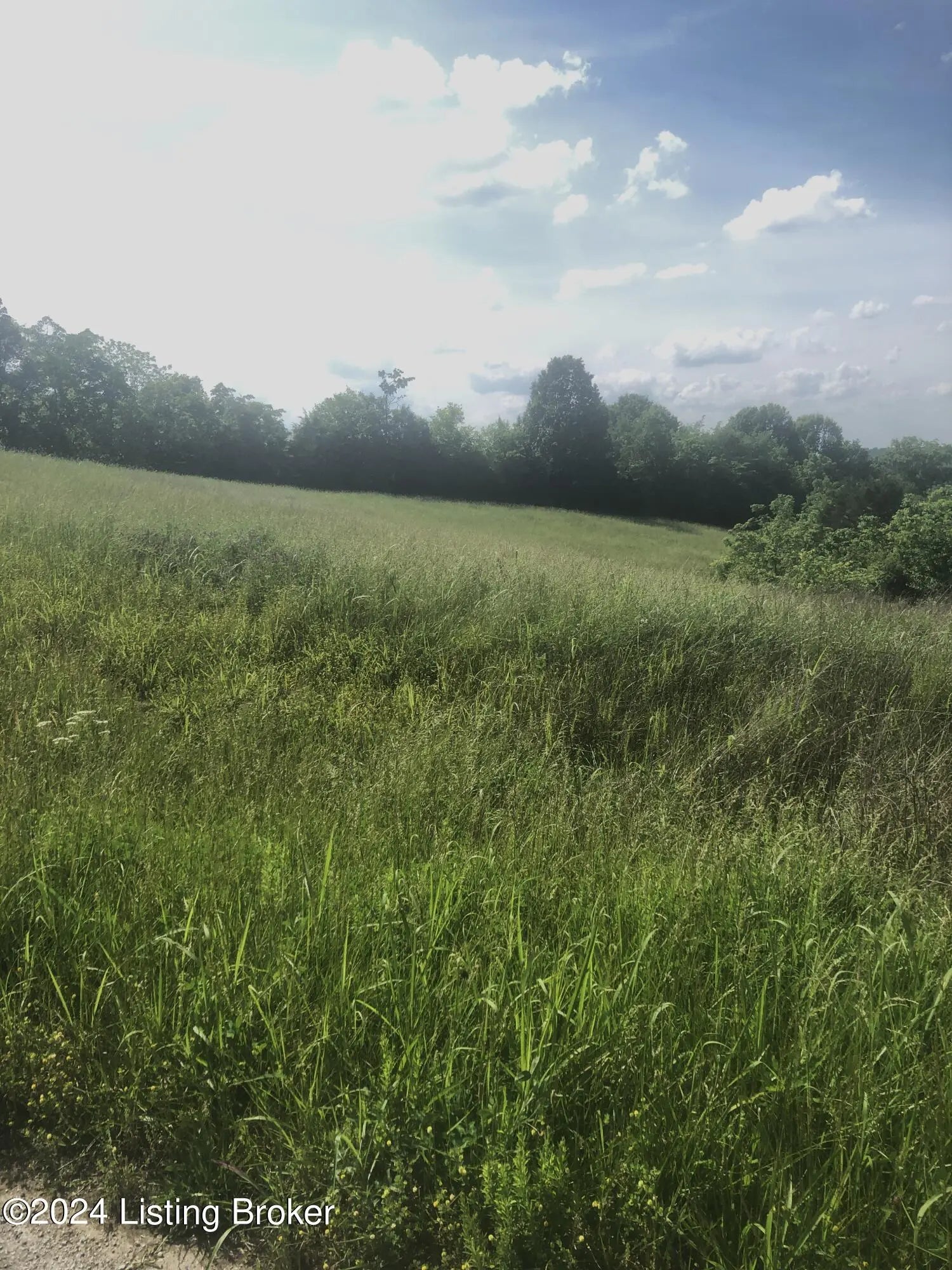 Photo of Listing #1713266